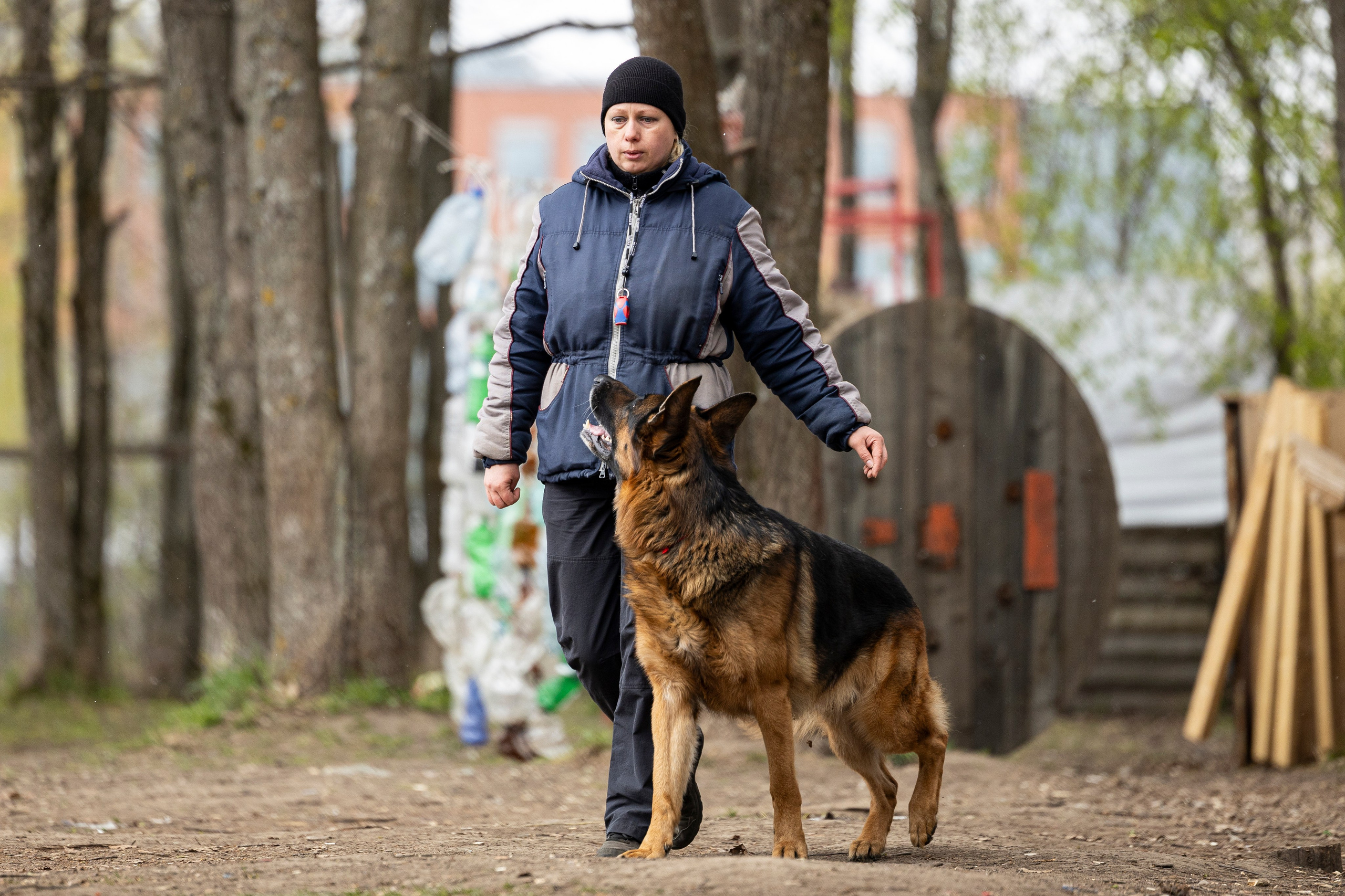 Квалификационные состязания по мондьорингу г. Вологда 11.05.24. Фотограф-анималист Анна Маринич