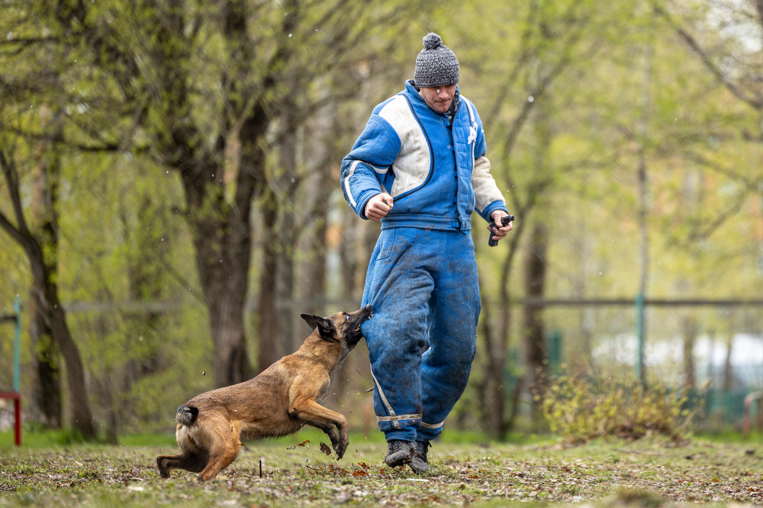 Квалификационные состязания по мондьорингу г. Вологда 11.05.24. Фотограф-анималист Анна Маринич