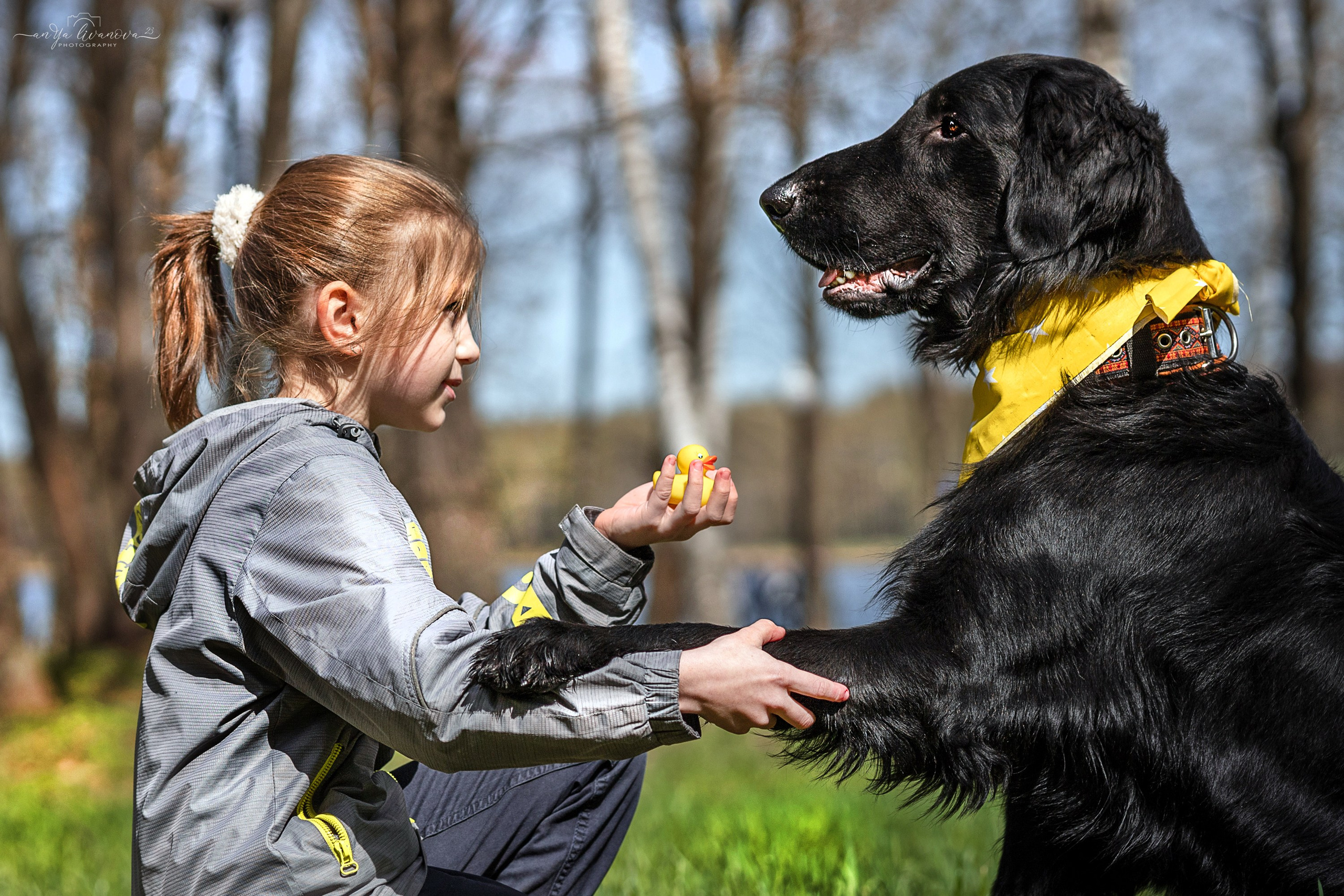 Солнышки. Фотограф анималист Аня Ливанова | Рыбинск