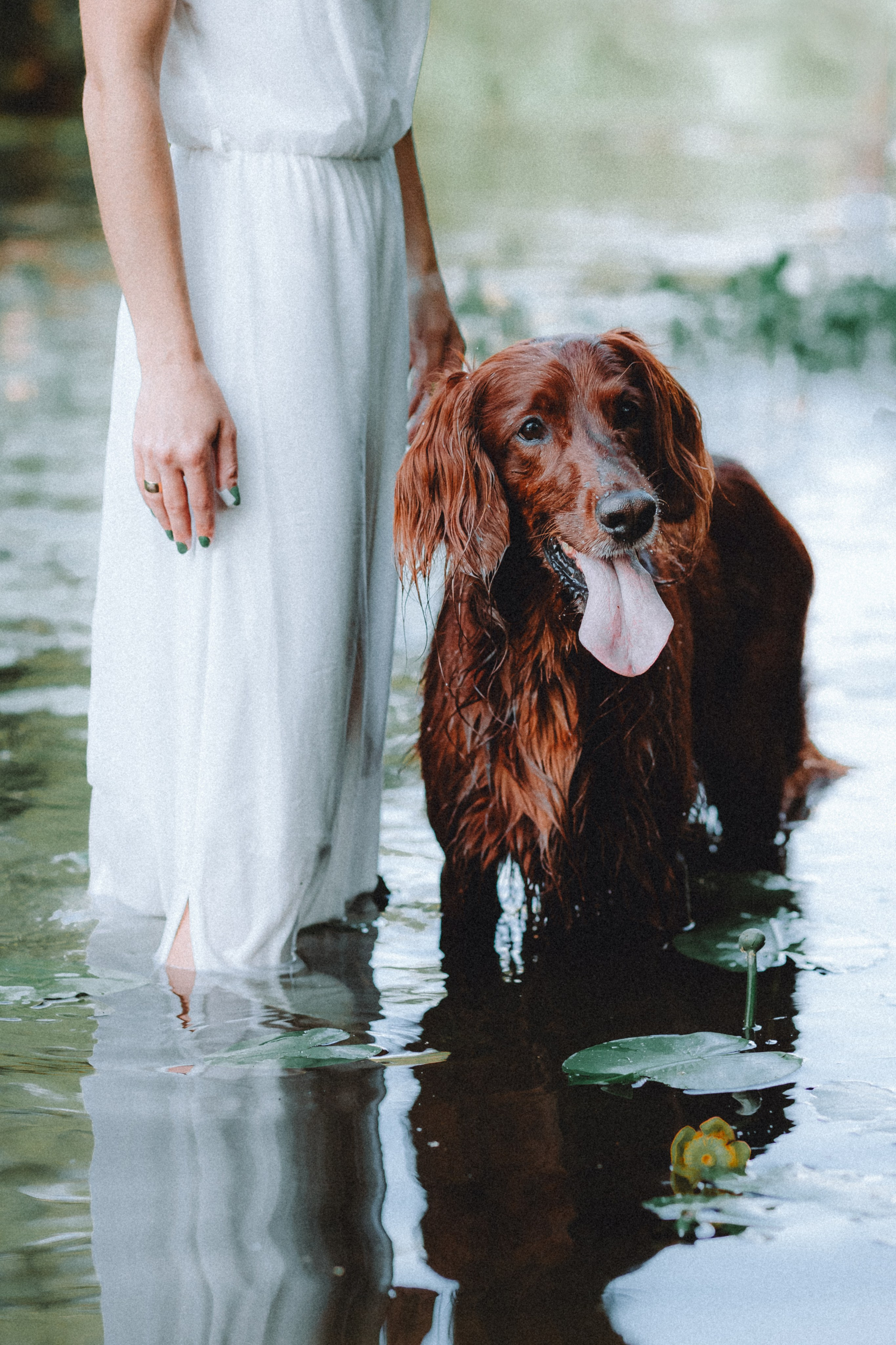 Маша и Джерри