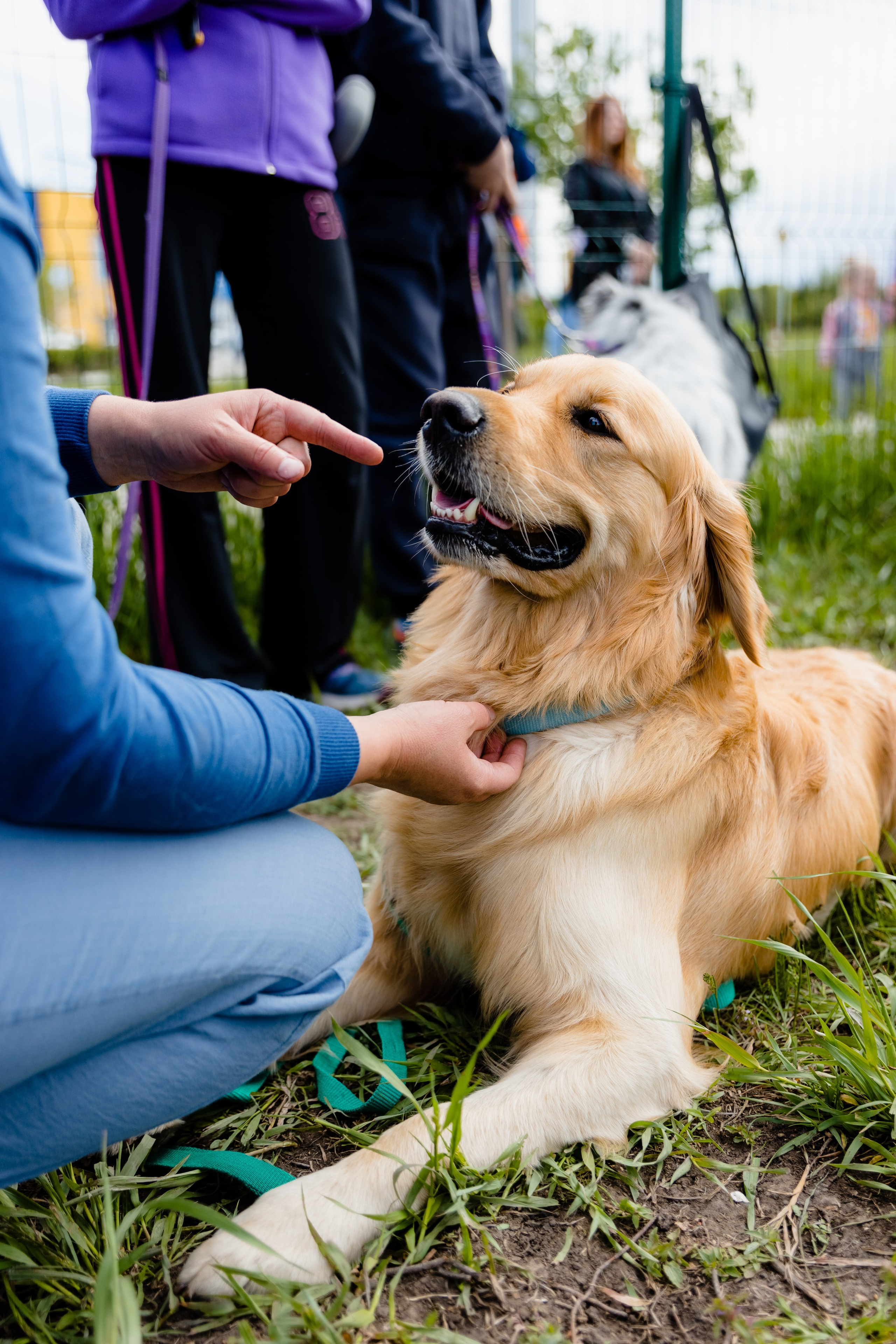 МЕГА | Фестиваль. Свадебный и репортажный фотограф в Омске. Червоткин Никита