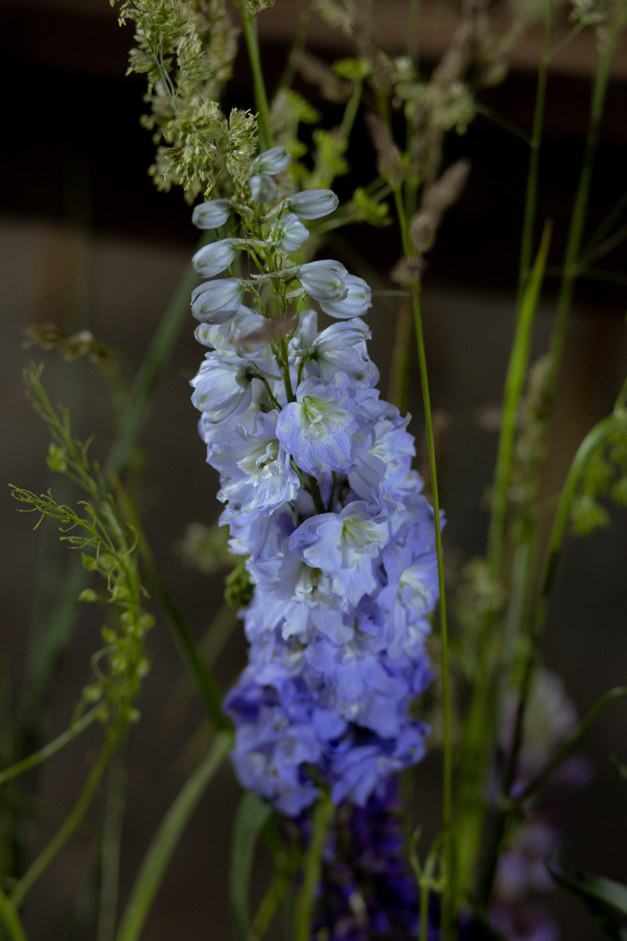 Павел & Полина. Оформление свадеб, декор свадеб Вера Маркова, Москва