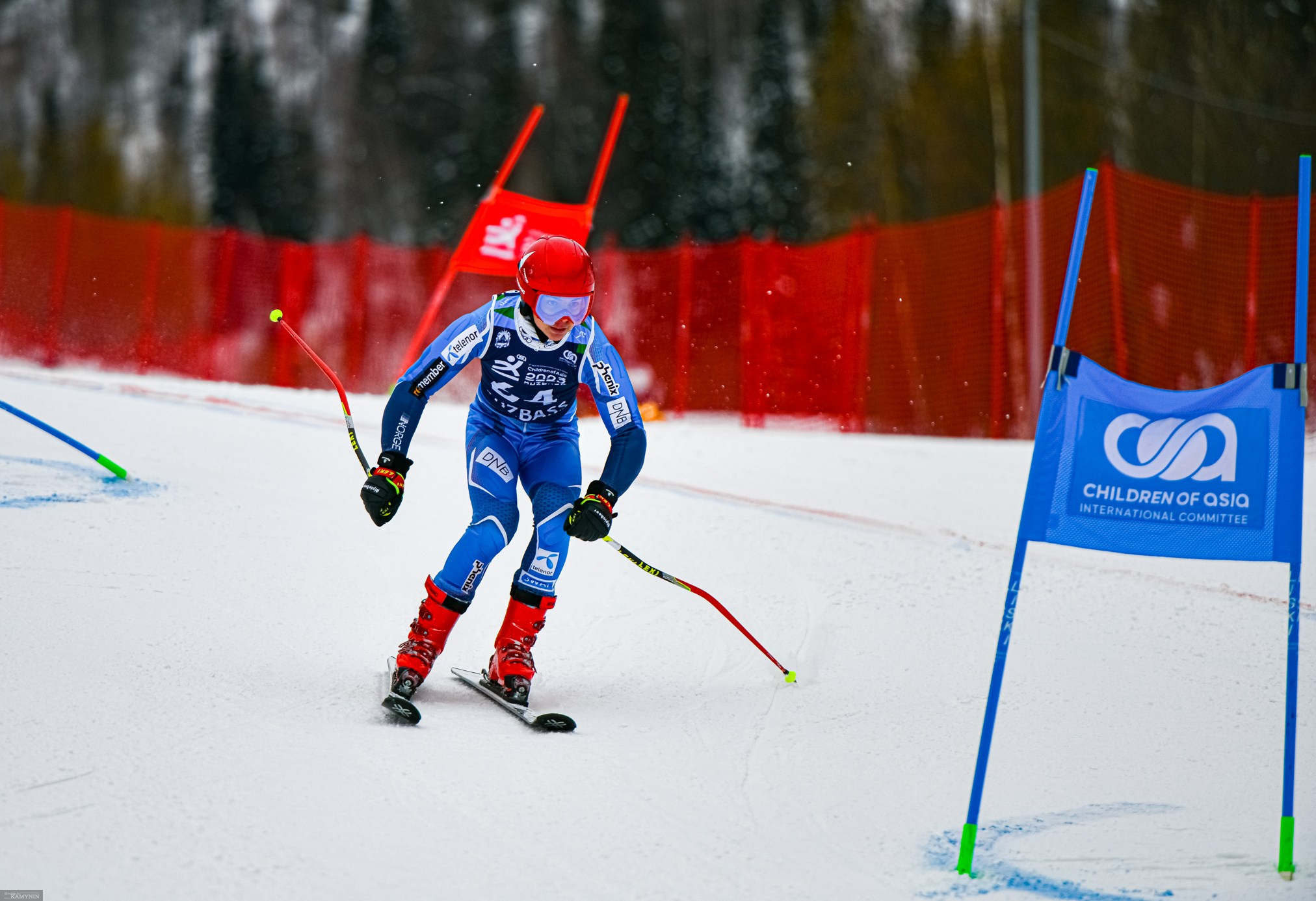 Параллельный слалом. ProfotoNK