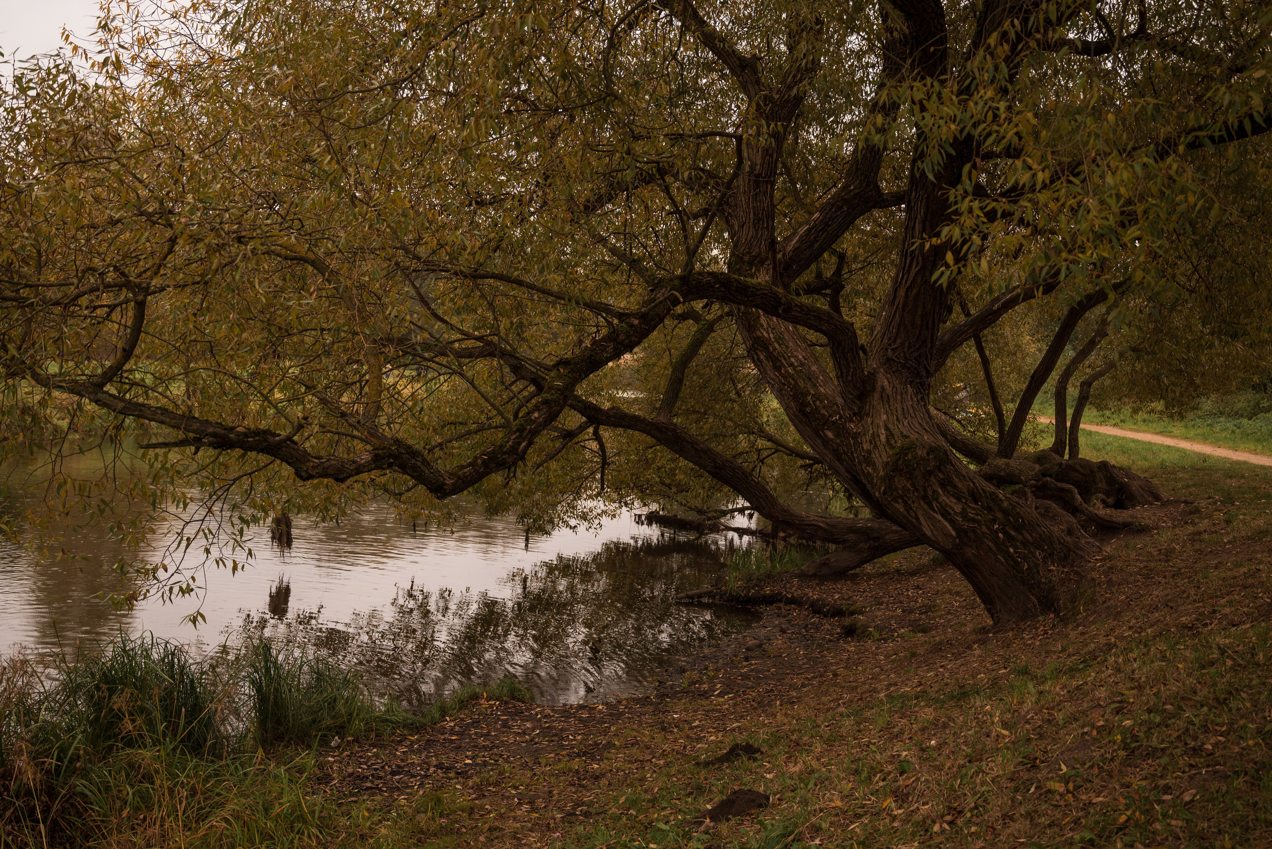Места. Фотограф в Минске Дарья Кончакова