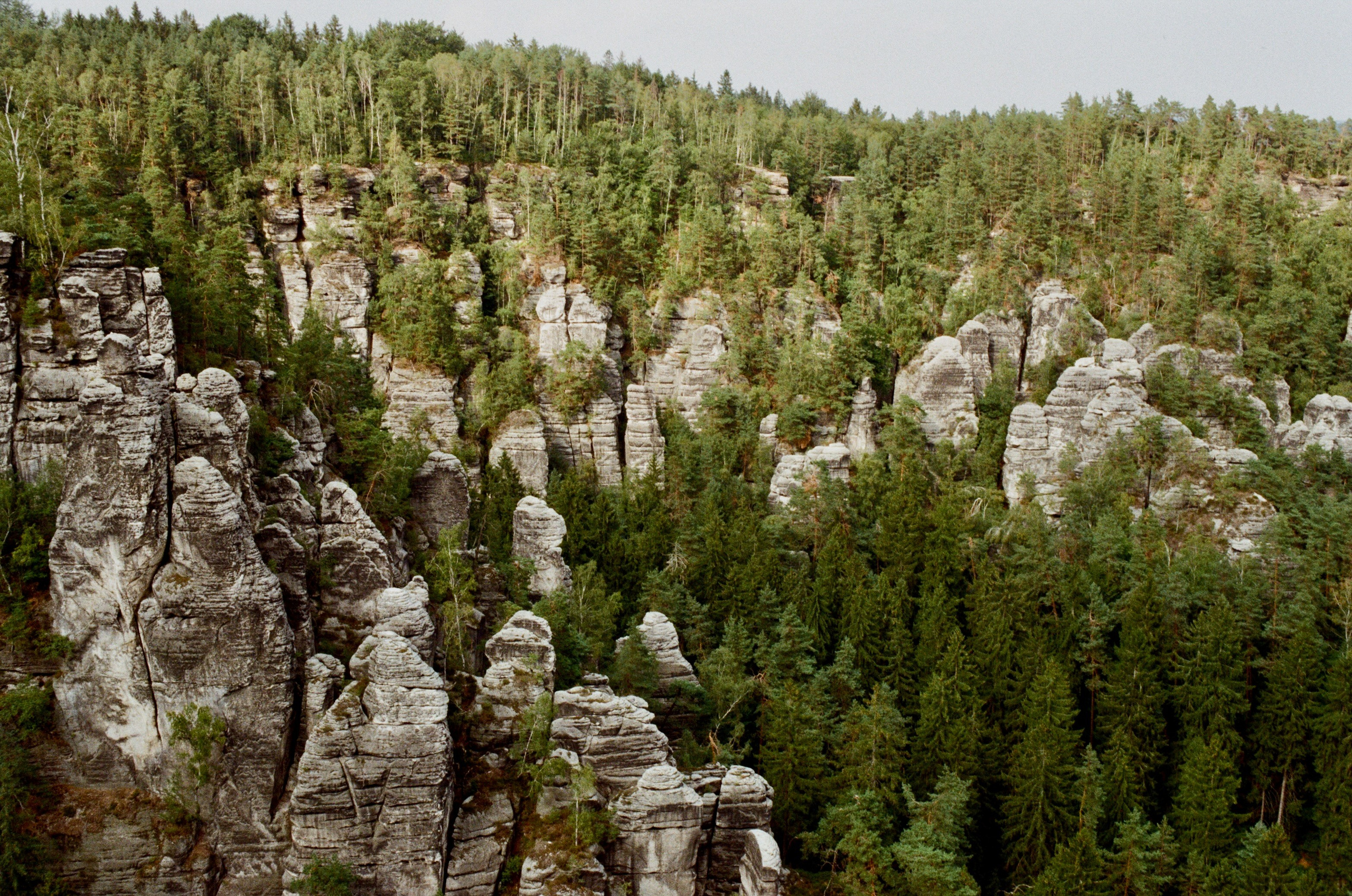 Film. Ruslan UI Dev Page