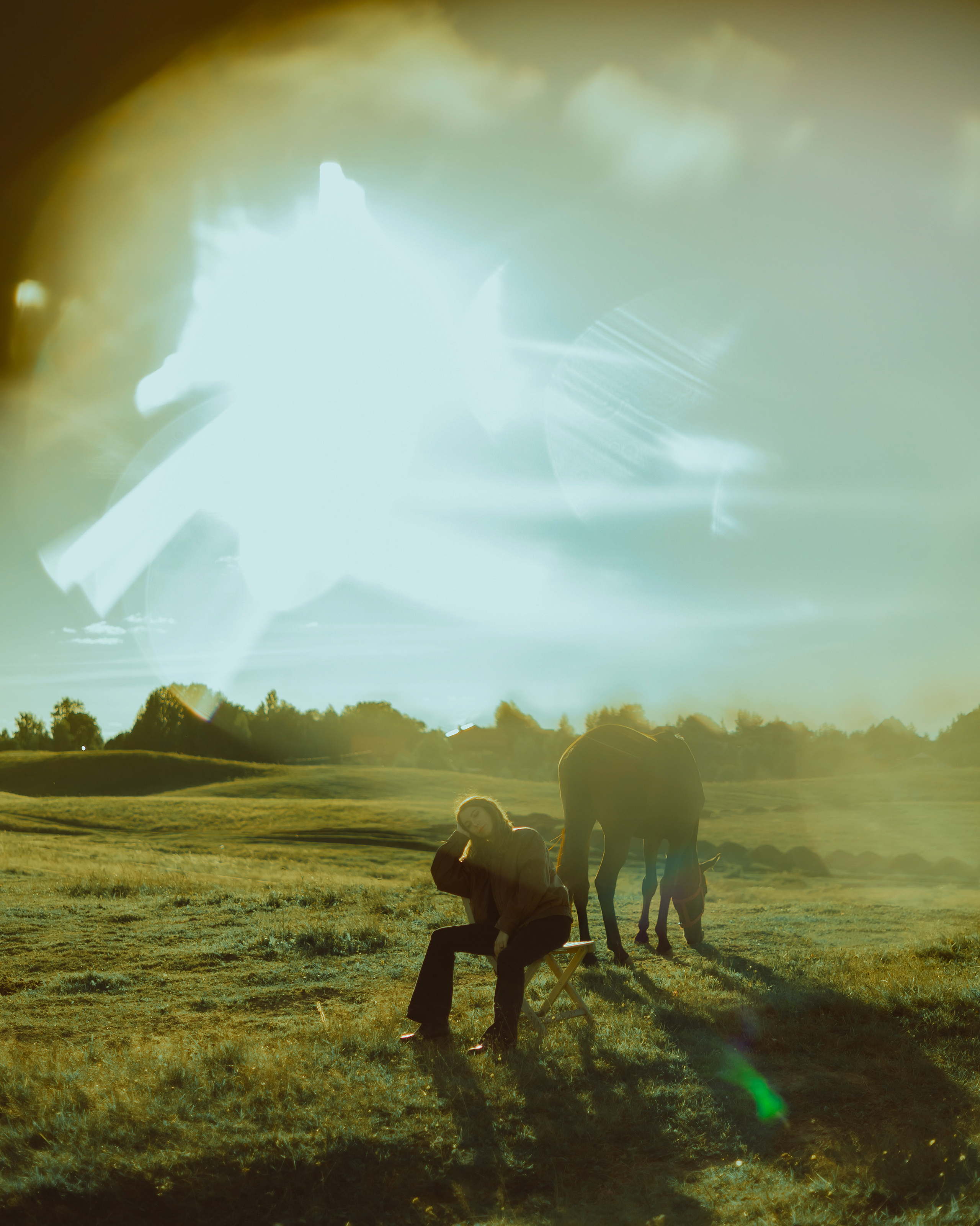 Яркие портреты: фотосессия с лошадьми и молодой девушкой на свежем воздухе от AV | Alexander Veselkov - Photographer