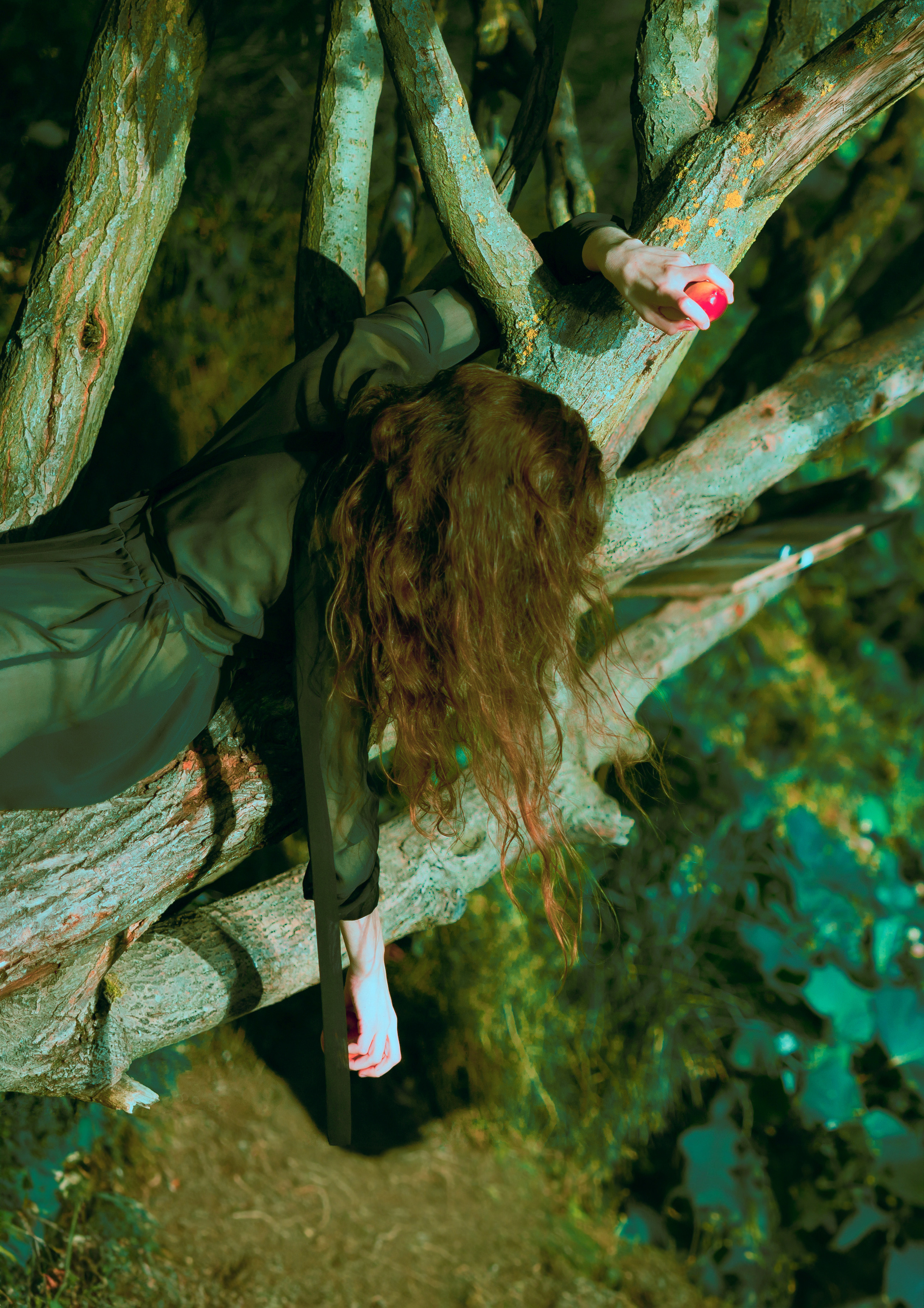 Красивая девушка с яблоком на дереве, фото Alexander Veselkov - Photographer