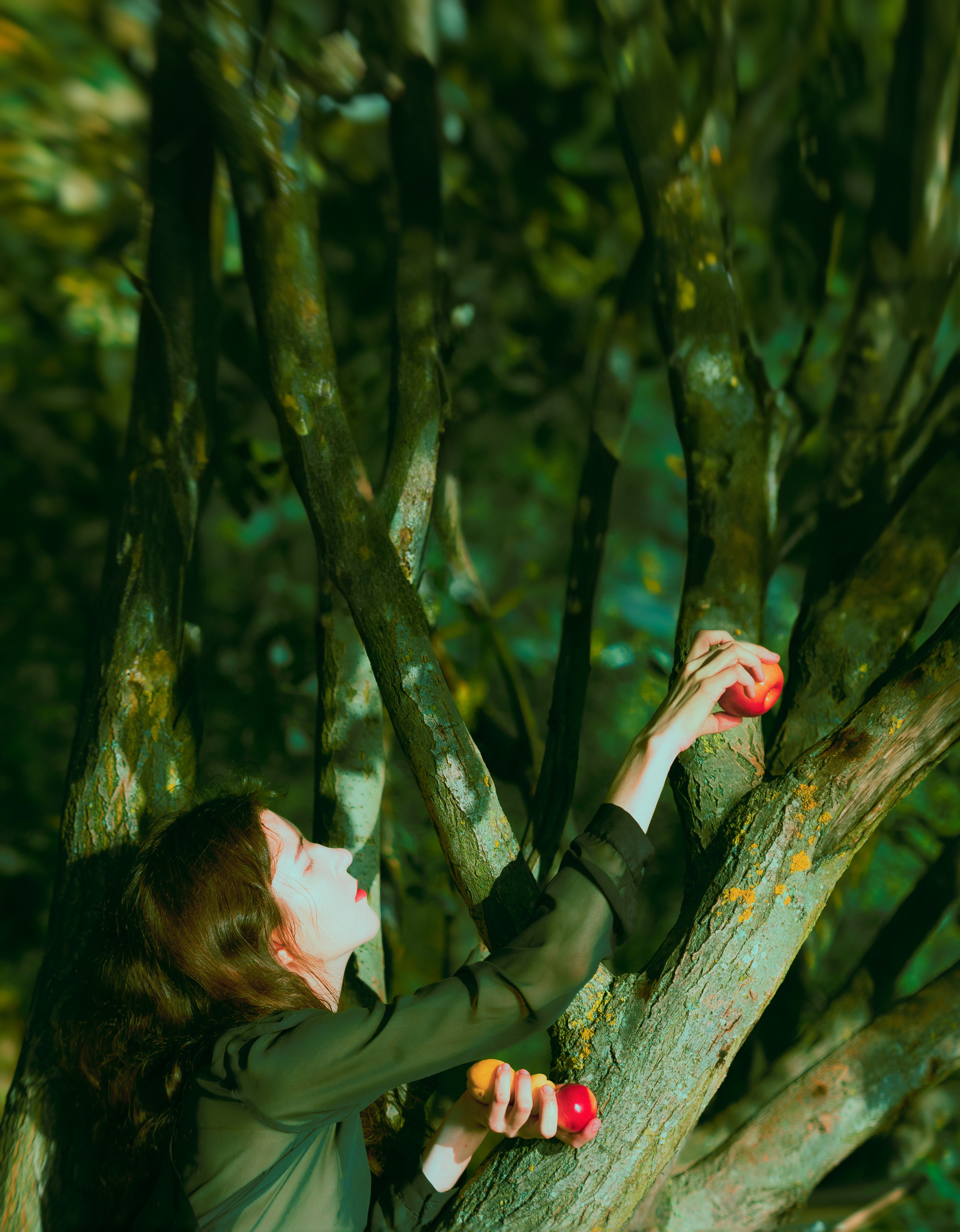 Прерафаэлитическая фотосессия с девушкой на дереве, фото Alexander Veselkov - Photographer