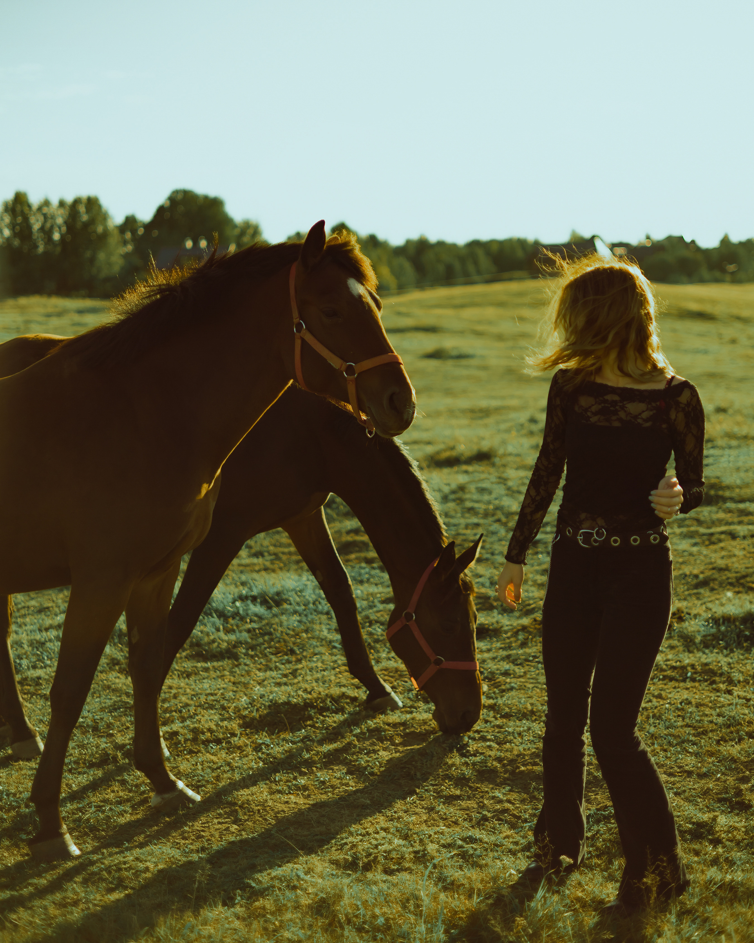 Фотосессия на свежем воздухе с лошадьми и прекрасной молодой девушкой от Alexander Veselkov - Photographer | AV