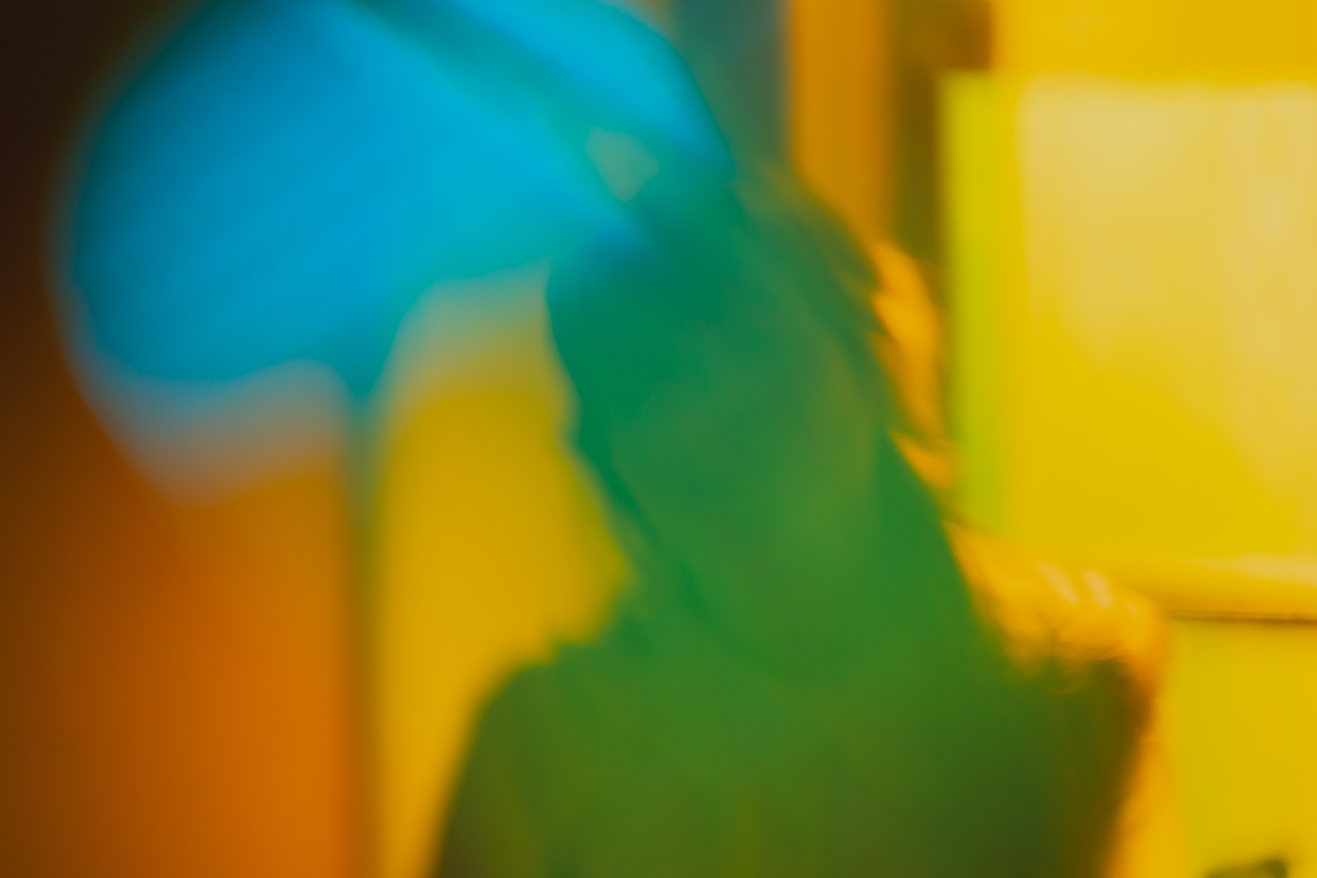 Снято через отражение старинного зеркала: уникальные желто-зеленые цвета в фотосессии от AV | Alexander Veselkov - Photographer 