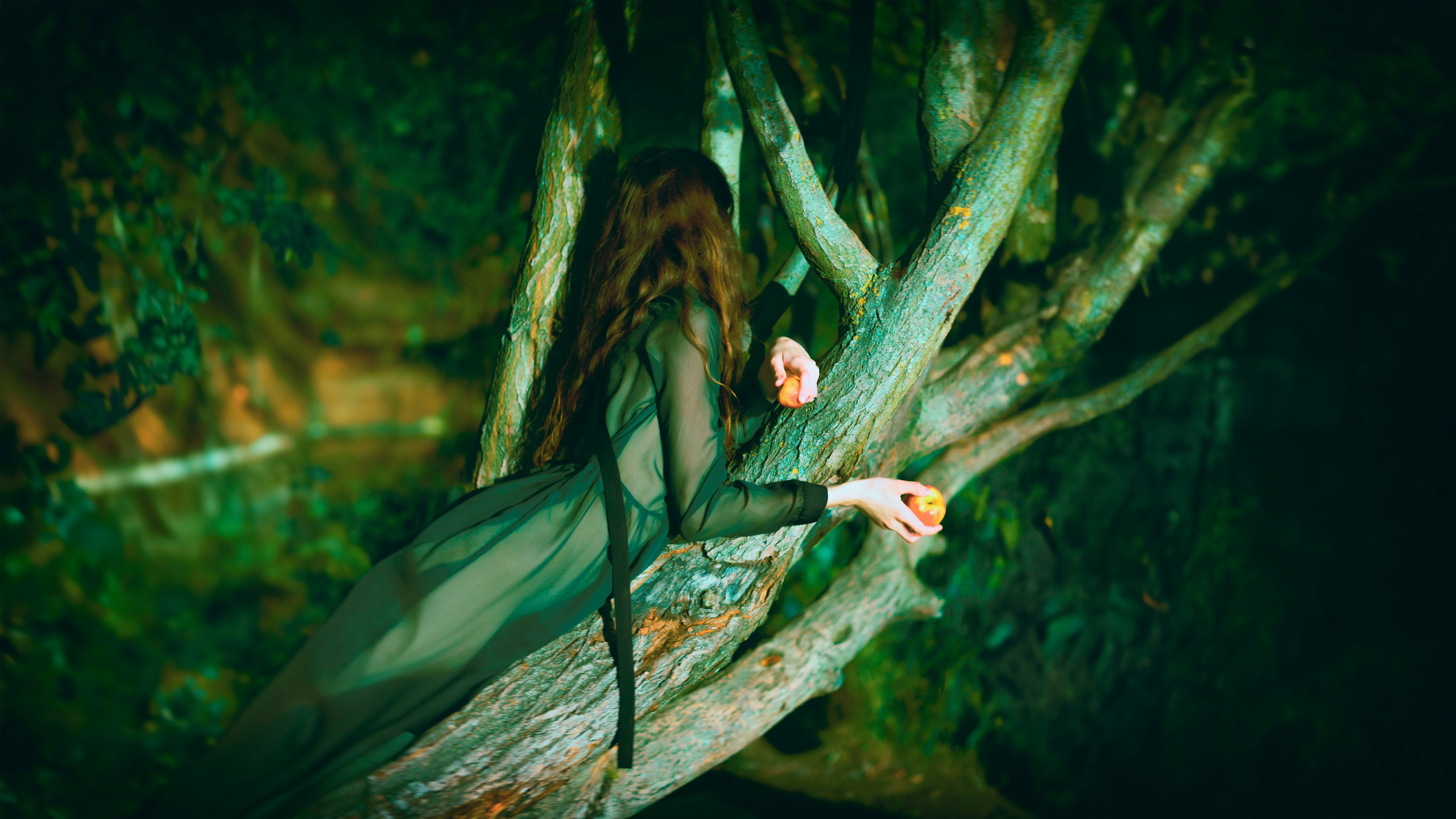 Изображение девушки в стиле прерафаэлитов на дереве от Alexander Veselkov - Photographer AV