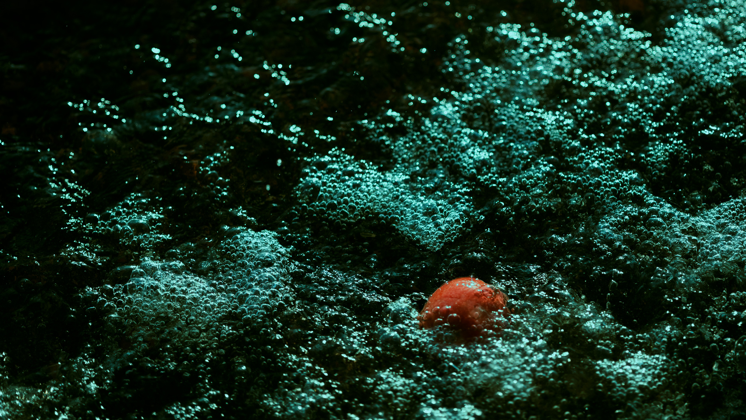 Фотосессия с элементами живописи прерафаэлитов, фото Alexander Veselkov - Photographer