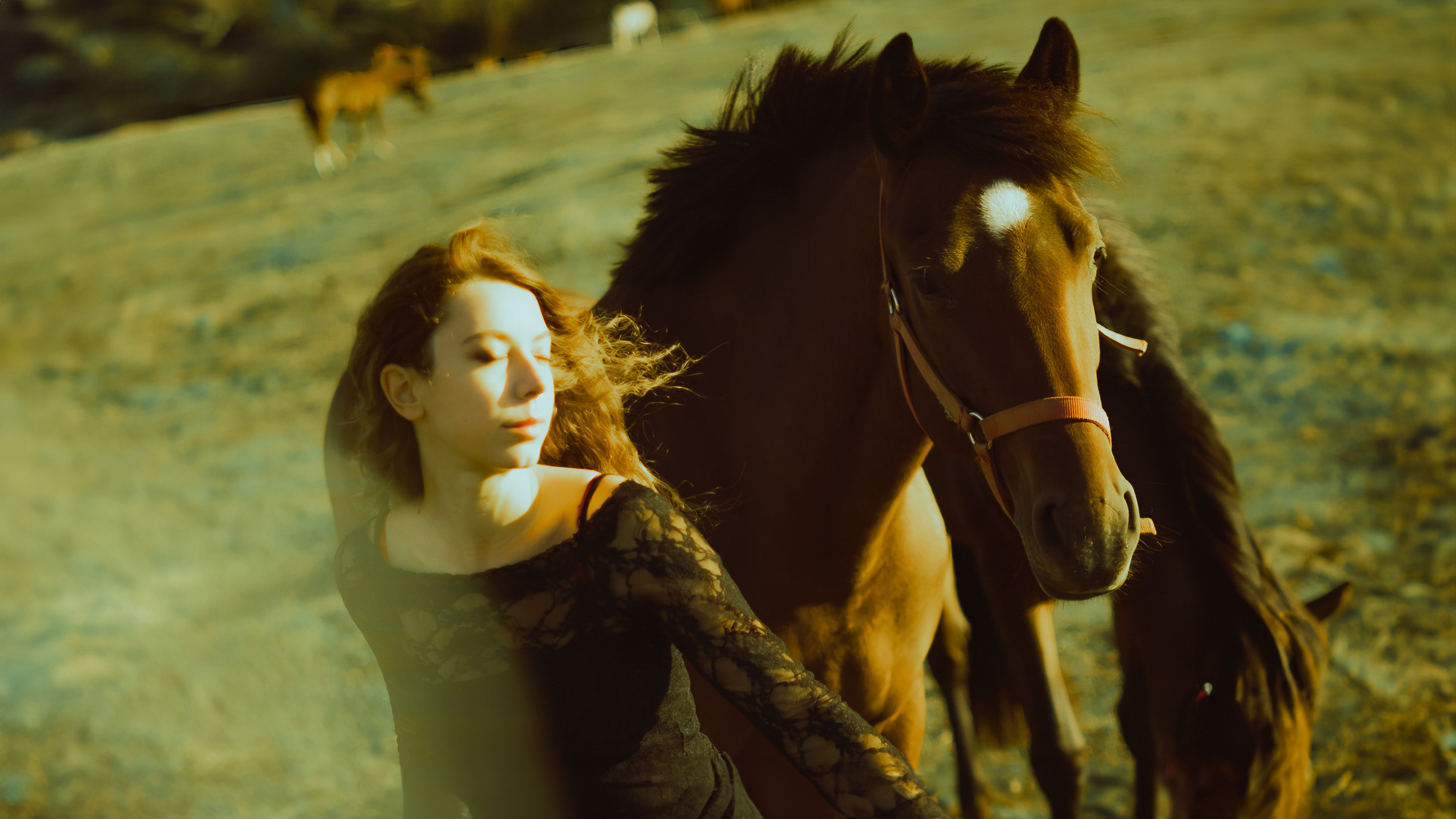 Фотосессия на свежем воздухе с лошадьми и прекрасной молодой девушкой, лучшие портреты, яркие цвета, фотограф в уникальном стиле Alexander Veselkov - Photographer| AV