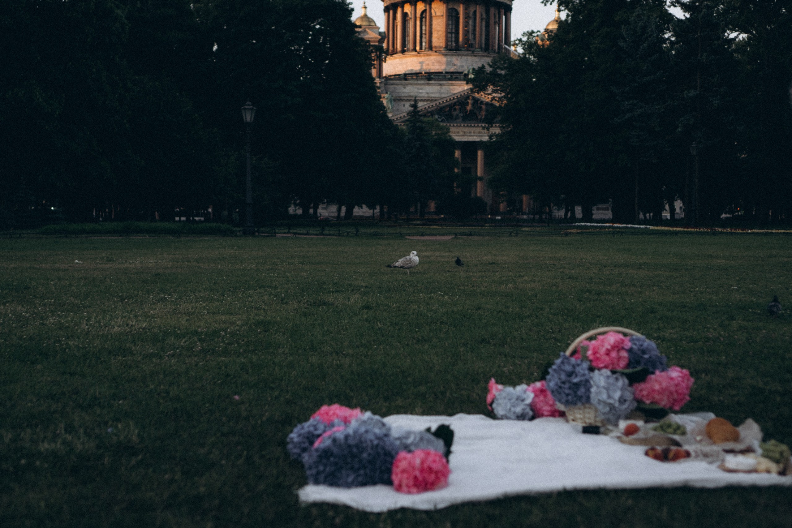 СВАДЕБНАЯ СЬЕМКА ПАРЫ НА РАССВЕТЕ В БЕЛЫЕ НОЧИ И ПРОГУЛКА С РАЗВОДНЫМИ МОСТАМИ И ПИКНИК ВОЗЛЕ ИСАКИЕВСКОГО СОБОРА. Профессиональный фотограф, Санкт-Петербург — Виктория Богомолова