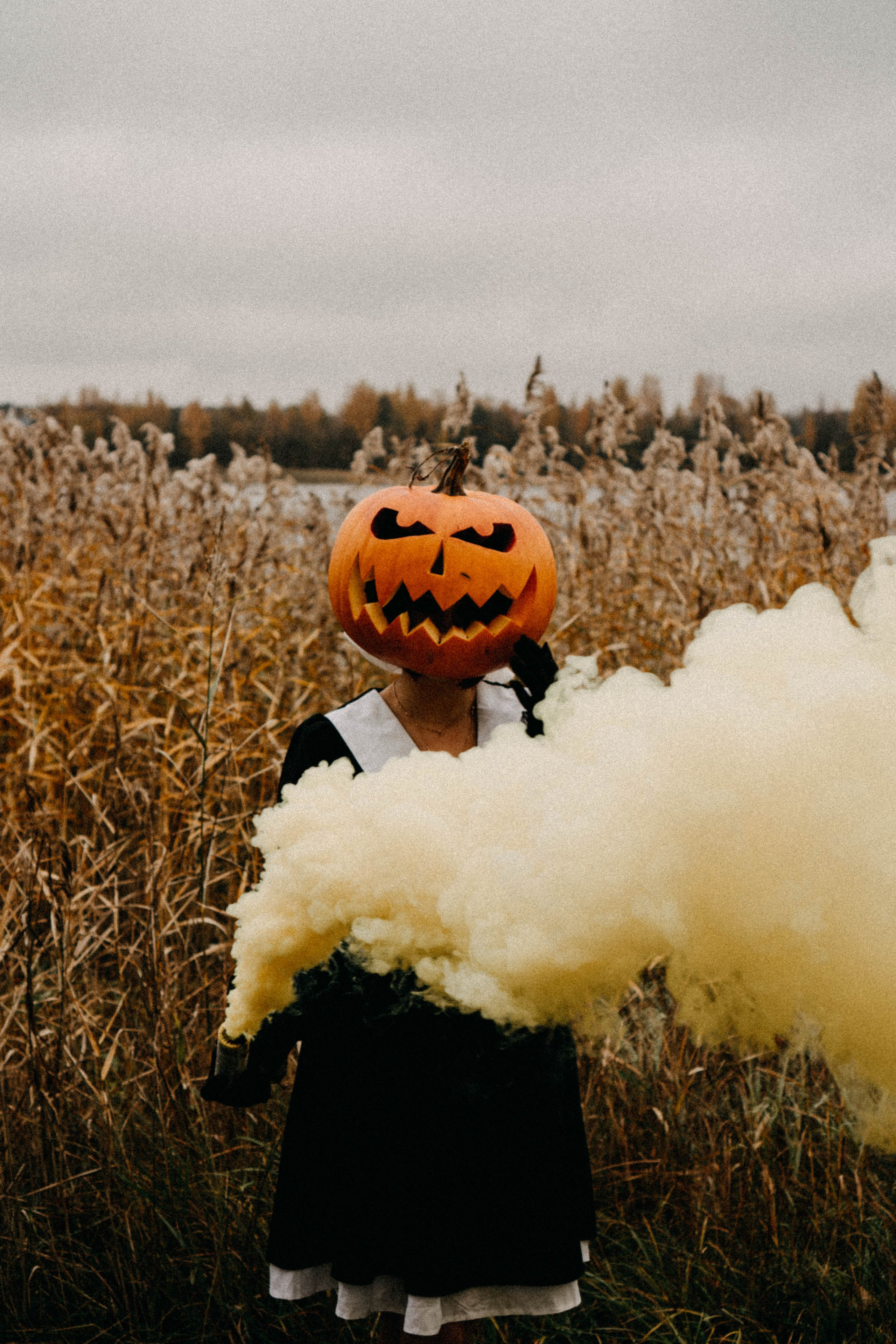 Осеняя. Профессиональный фотограф, Санкт-Петербург — Виктория Богомолова