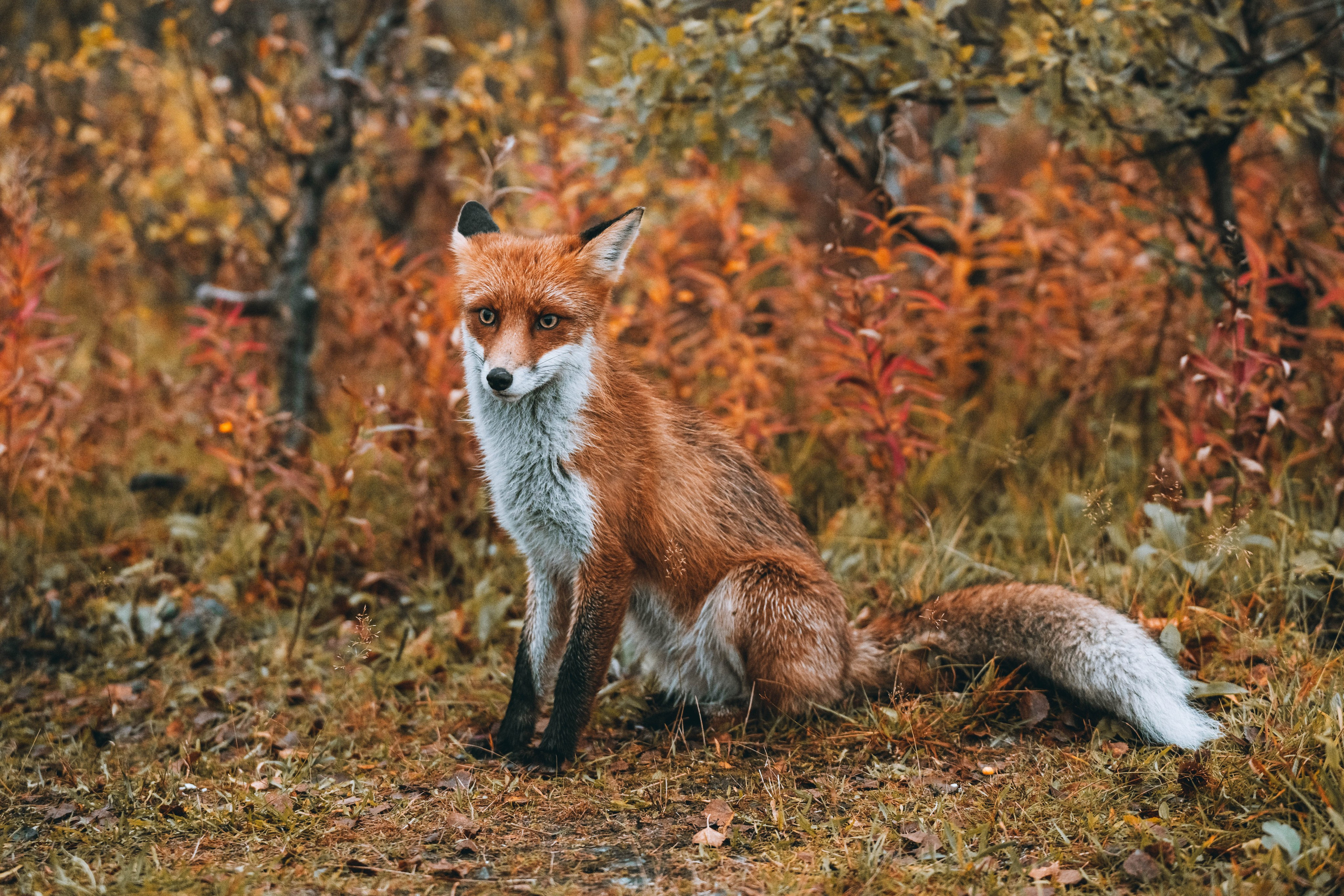 СЕВЕР. Event фотограф Степанова Александра