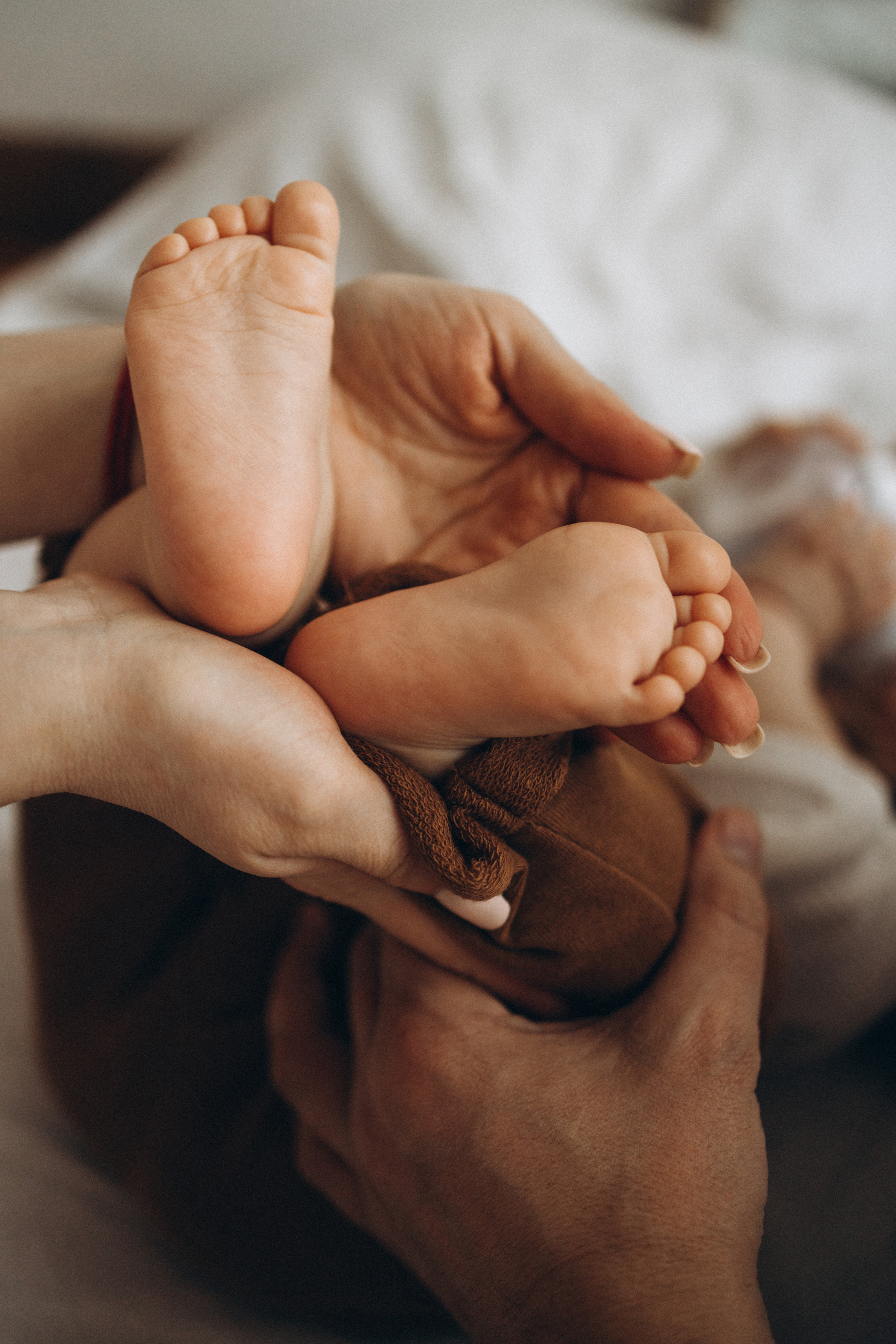 Мвлыш. Фотограф Валерия Ковпак. Москва. Химки. Куркино