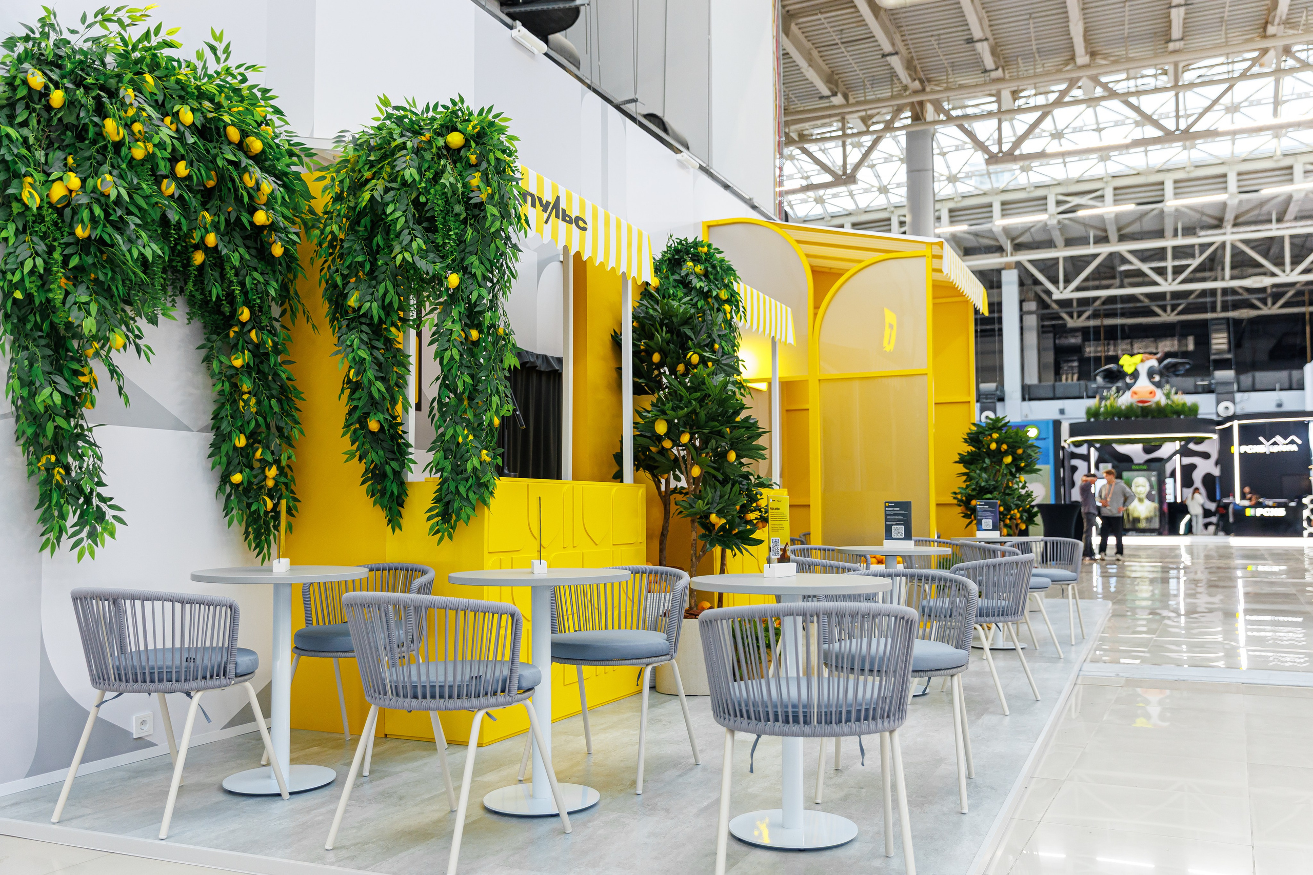 Финополис | Главный медиа-центр Сириус. Репортажный фотограф | Роза Хутор Красная Поляна Сочи Сириус