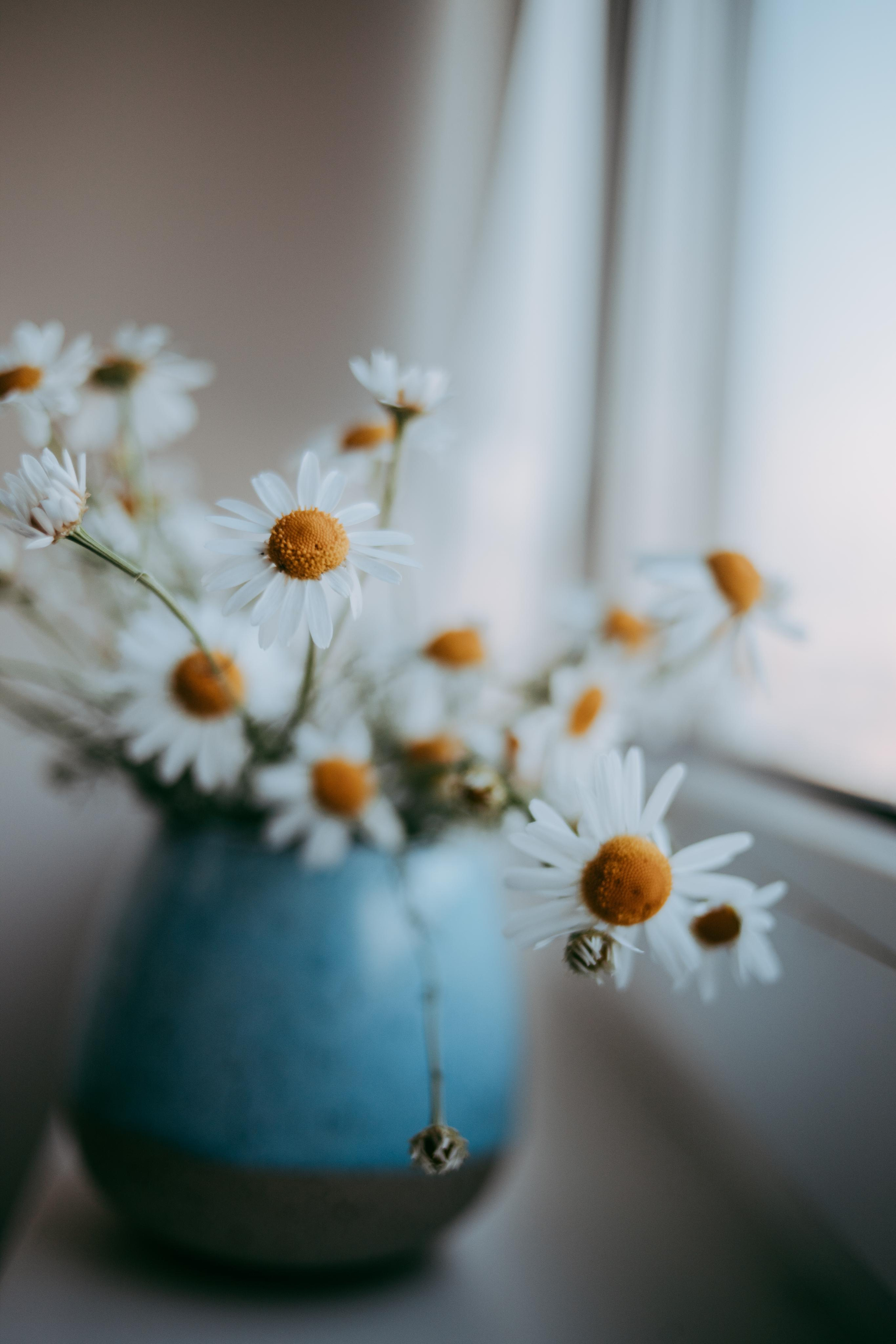 2022. Фотограф Коронелли