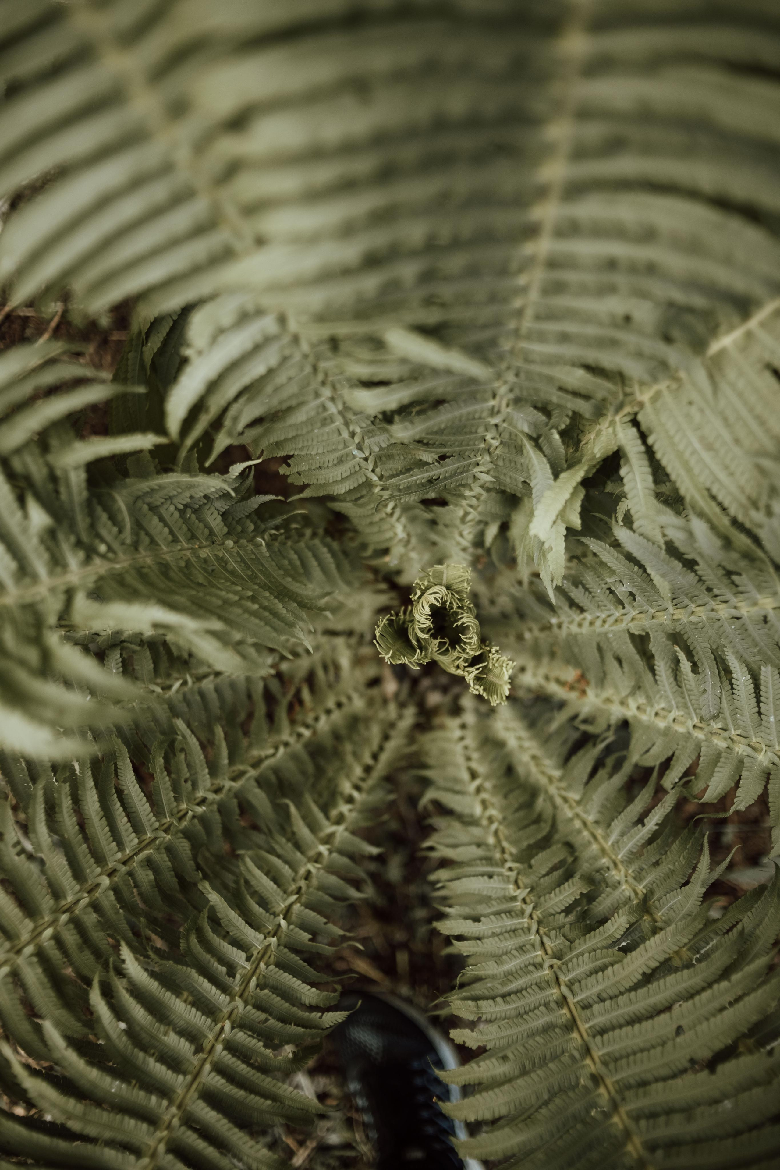 2022. Фотограф Коронелли