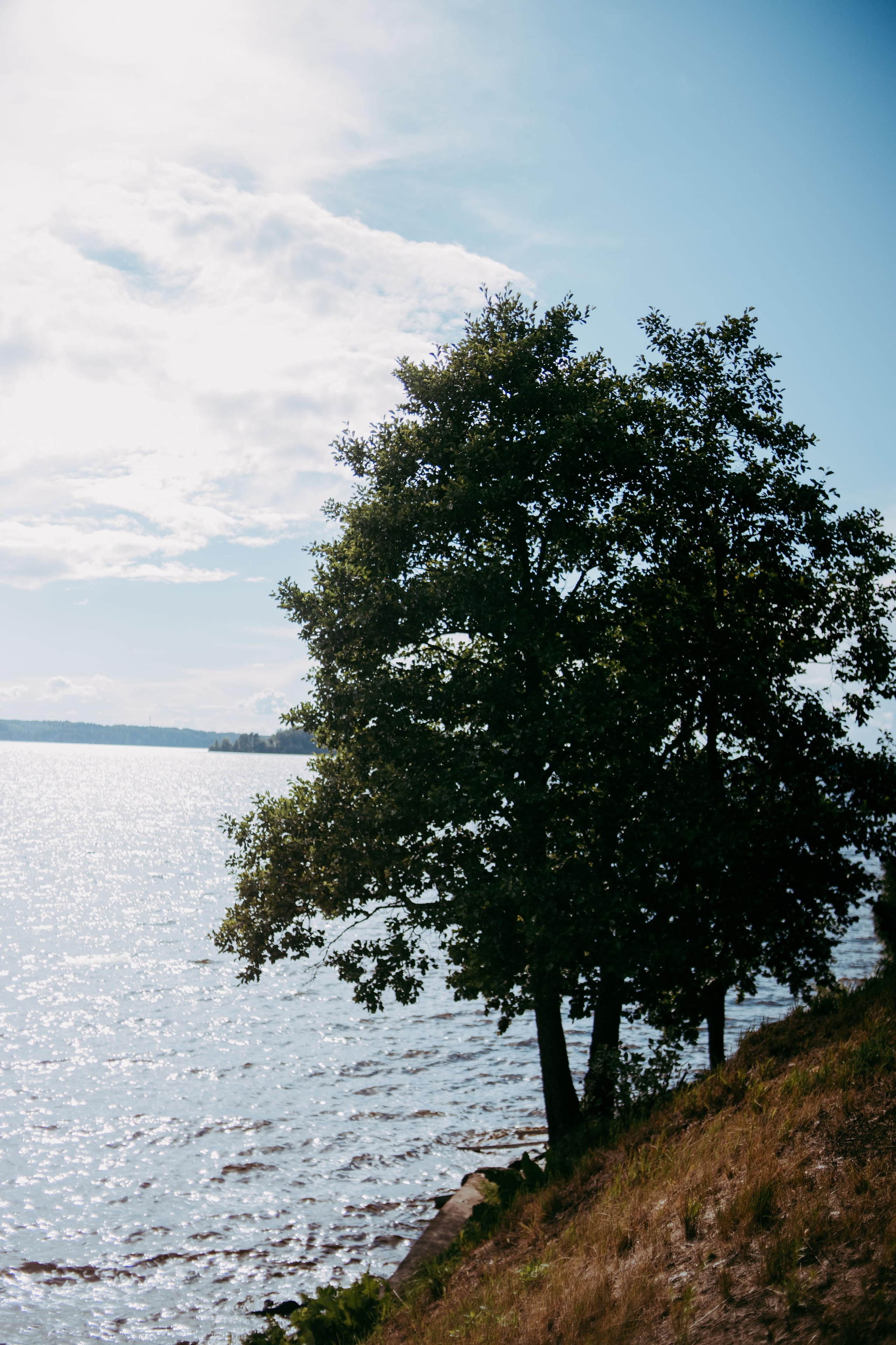 2022. Фотограф Коронелли