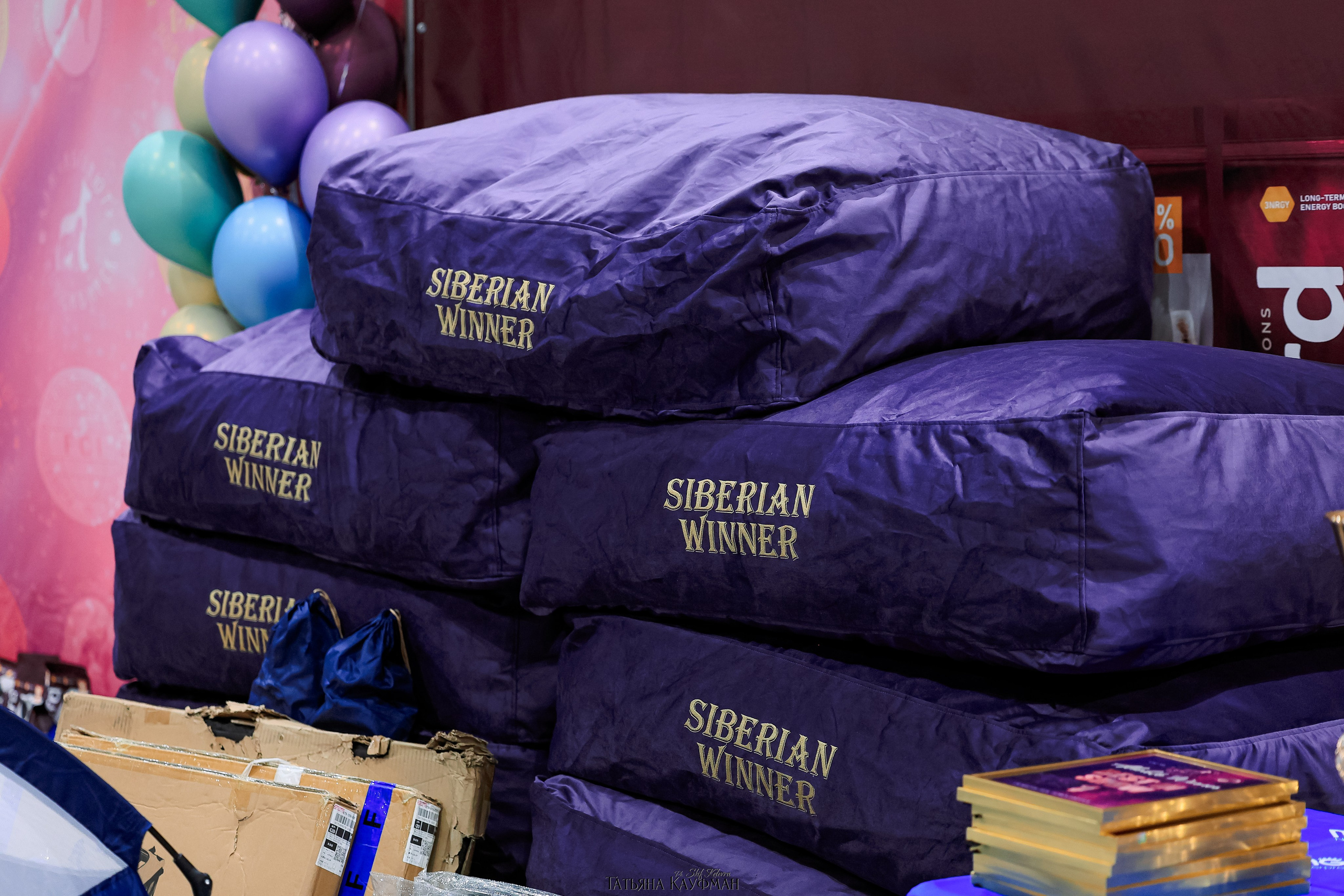 выставка собак в Новосибирске ABSOLUT WINNER-2026, Рейтинговая выставка собак