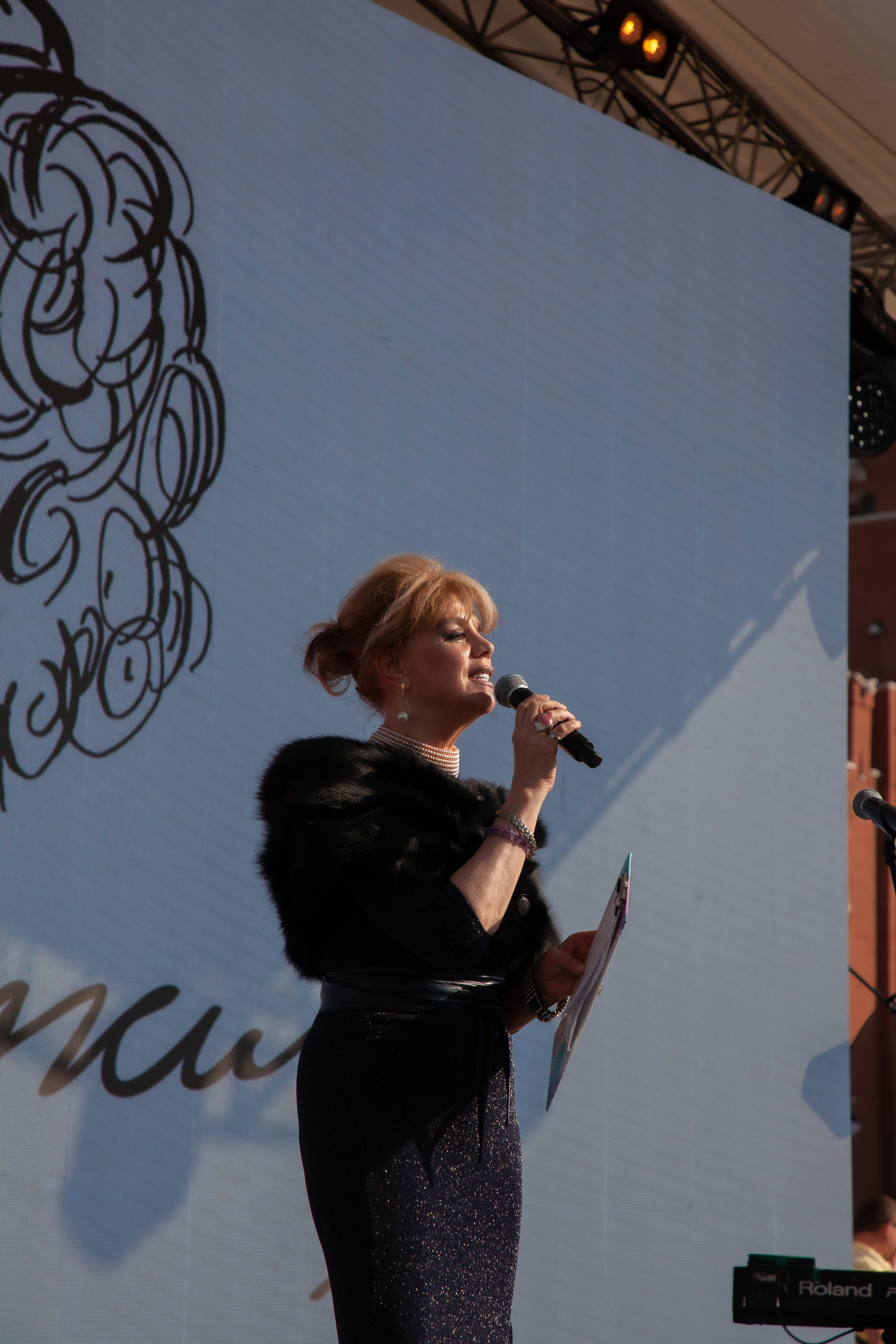 — Книжный фестиваль 2024 (концерты). Фотограф | Москва