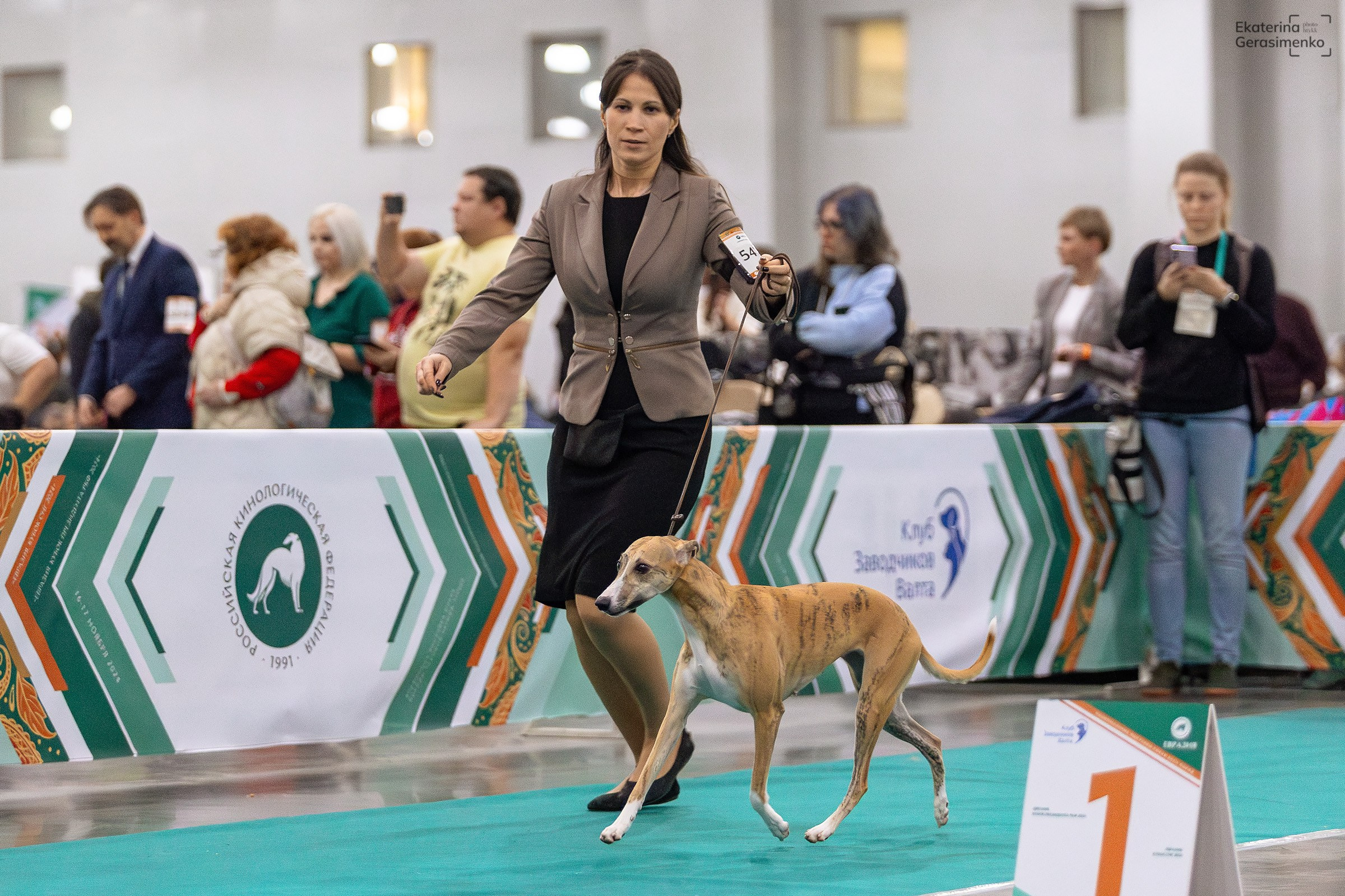 16–17 ноября 2024, Выставка ЕВРАЗИЯ, г. Москва. Htykk_photo