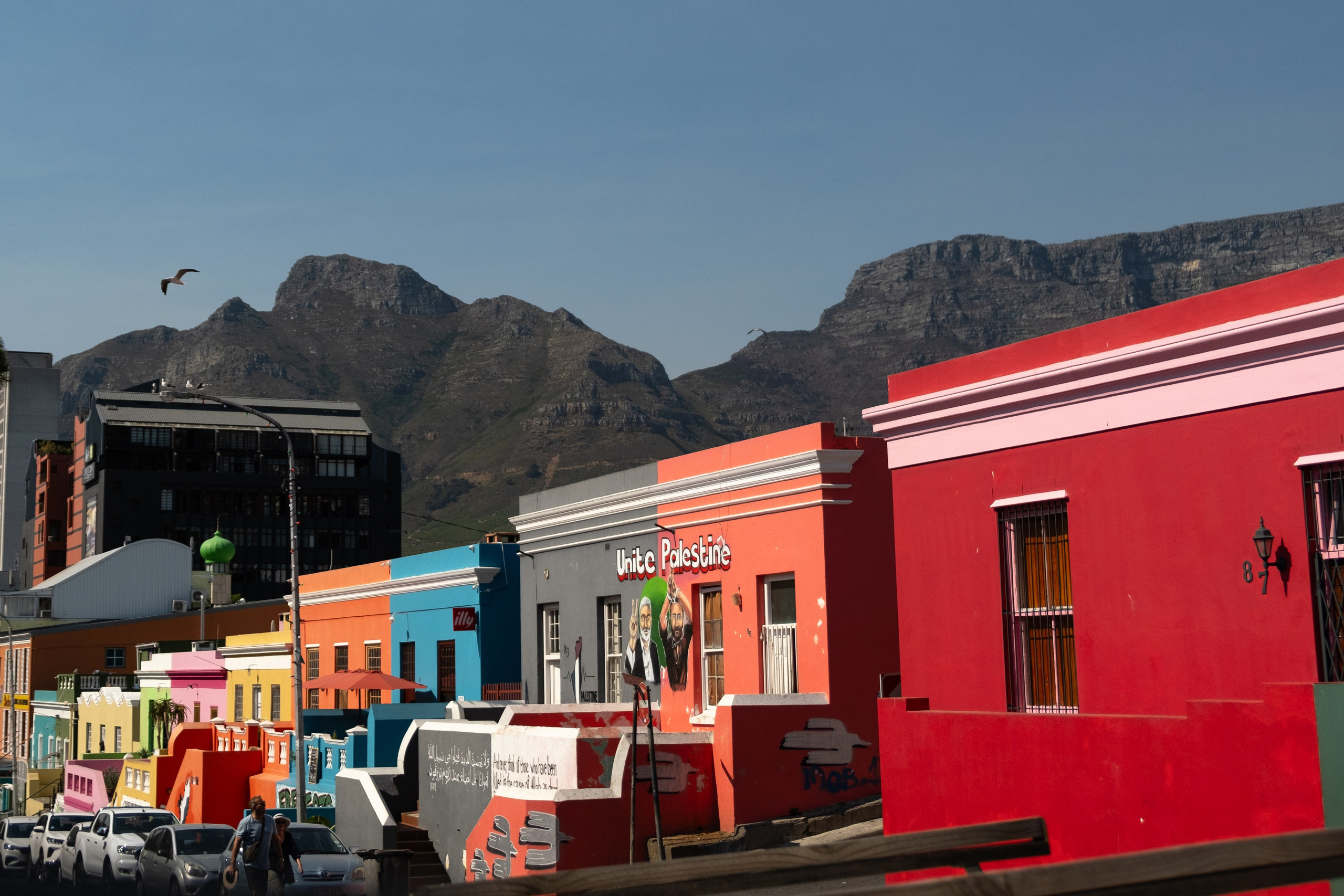 Морские котики и закат. Фотографии из путешествий