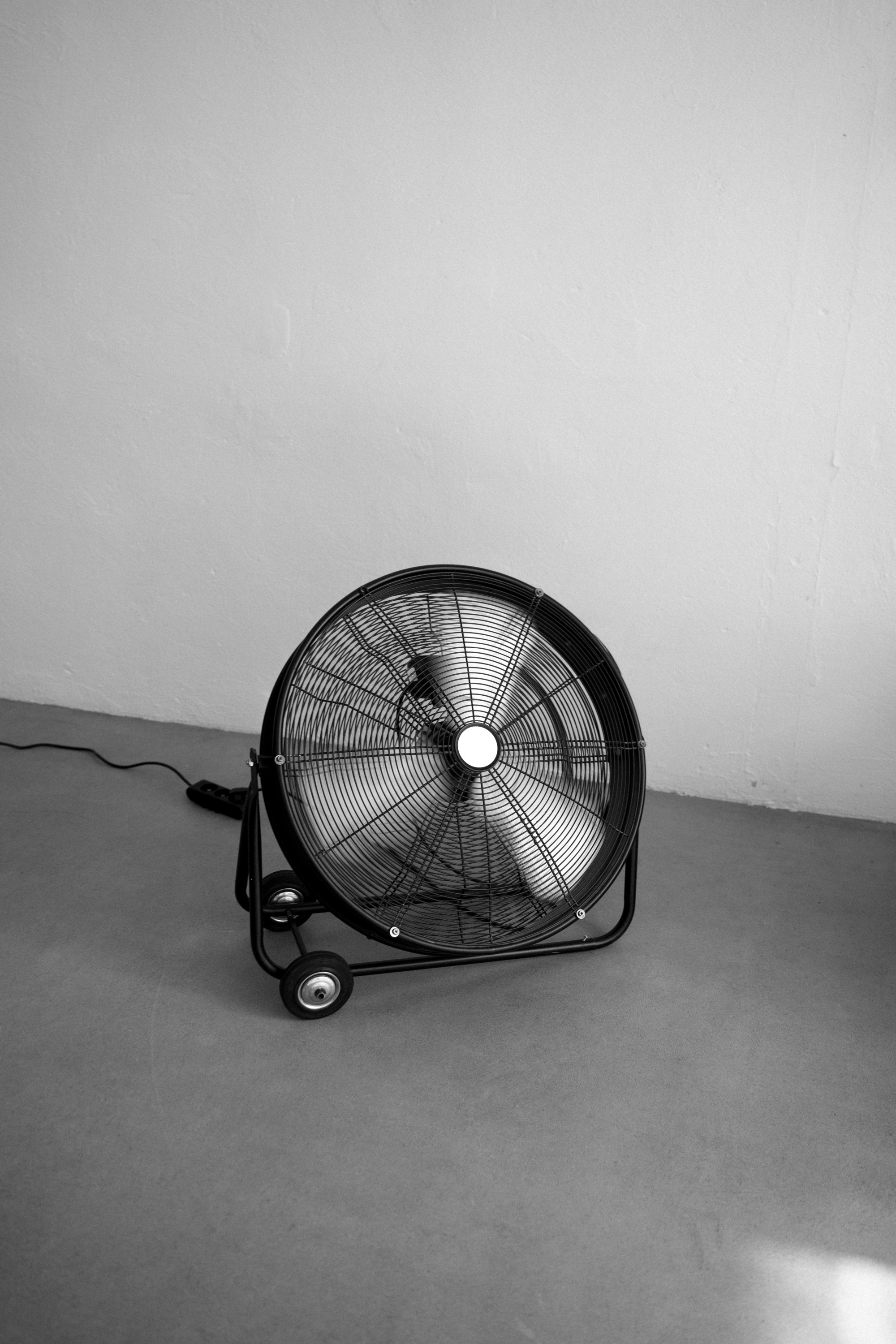 Olya. Anastasiia Maximovа, film & digital photographer. Barcelona, Spain