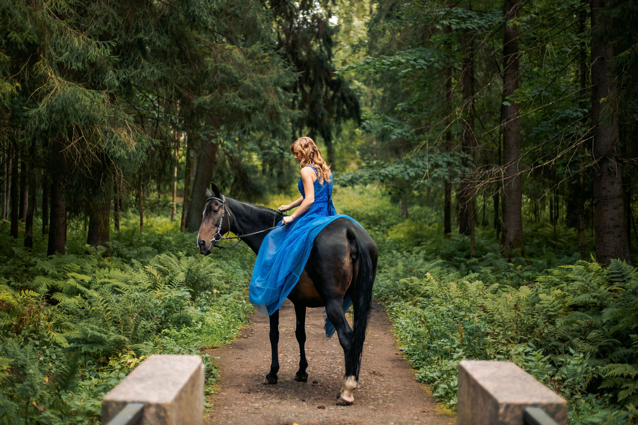 Фотосессия с лошадьми в СПБ. Фотограф в Санкт-Петербурге, Анна Скворцова
