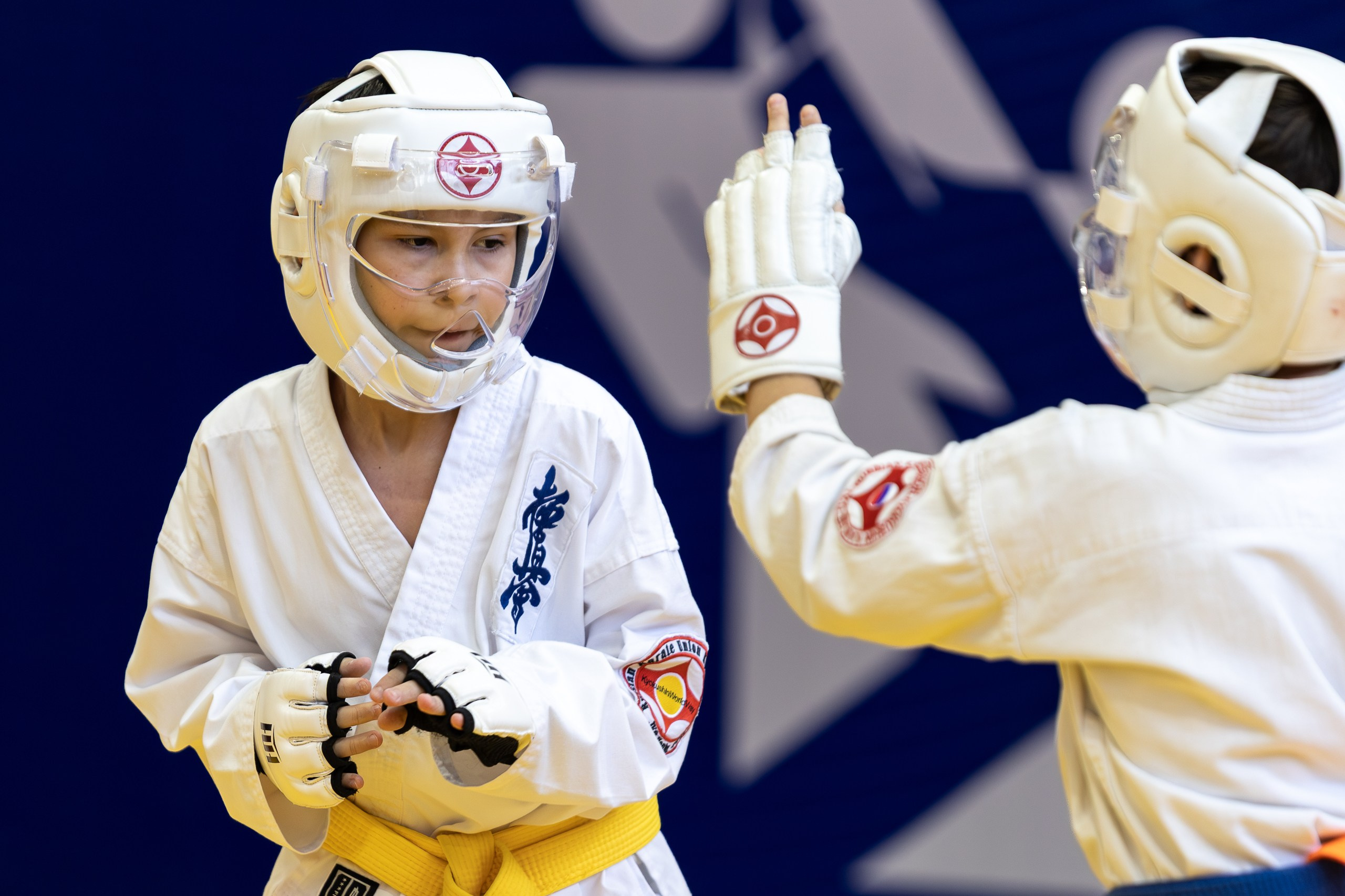 Карате кумите. Главная