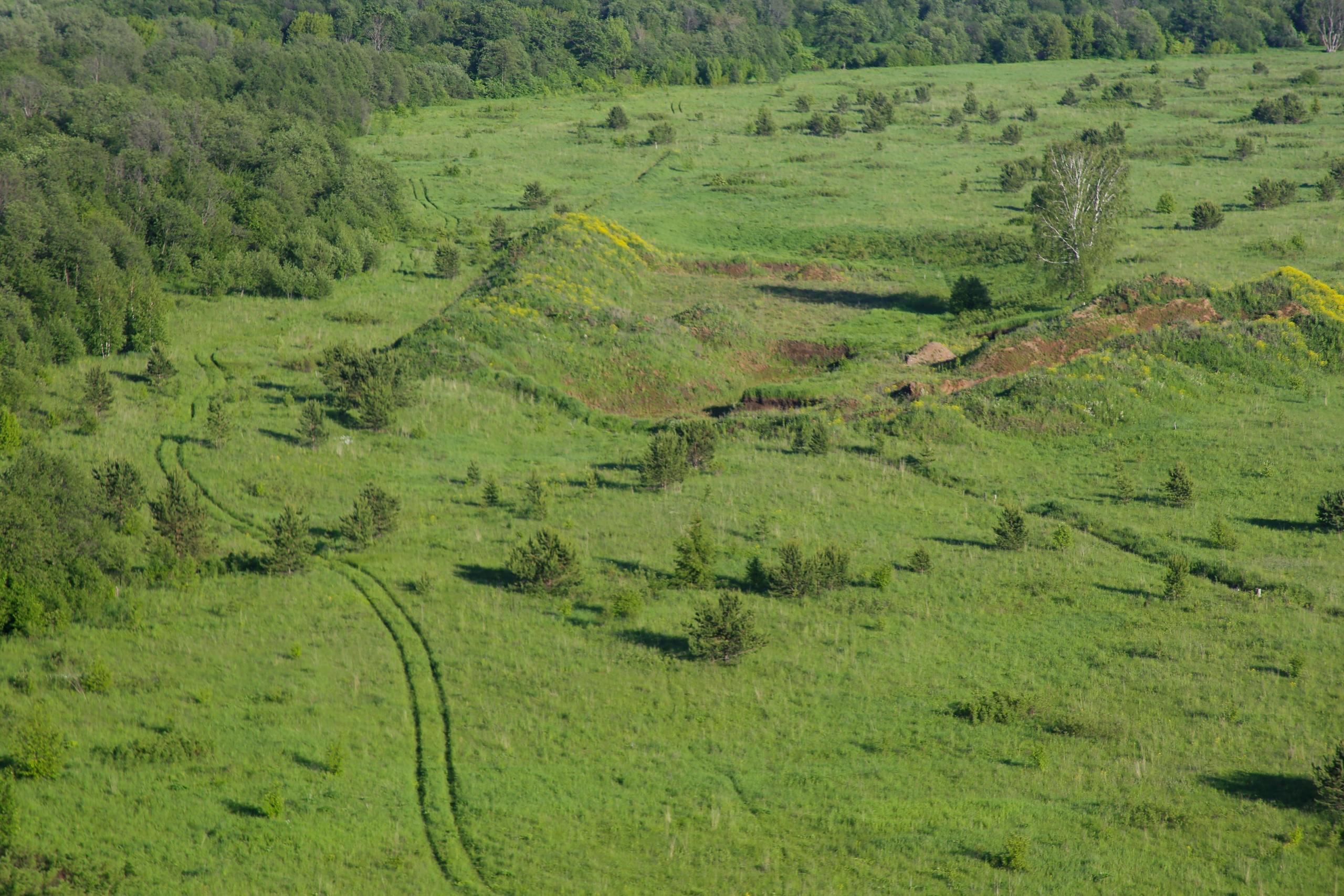 Виды Перми и окрестностей. Фотограф Никита Попов. Фотограф Пермь. Фотосессия в фотостудии Перми и на свежем воздухе