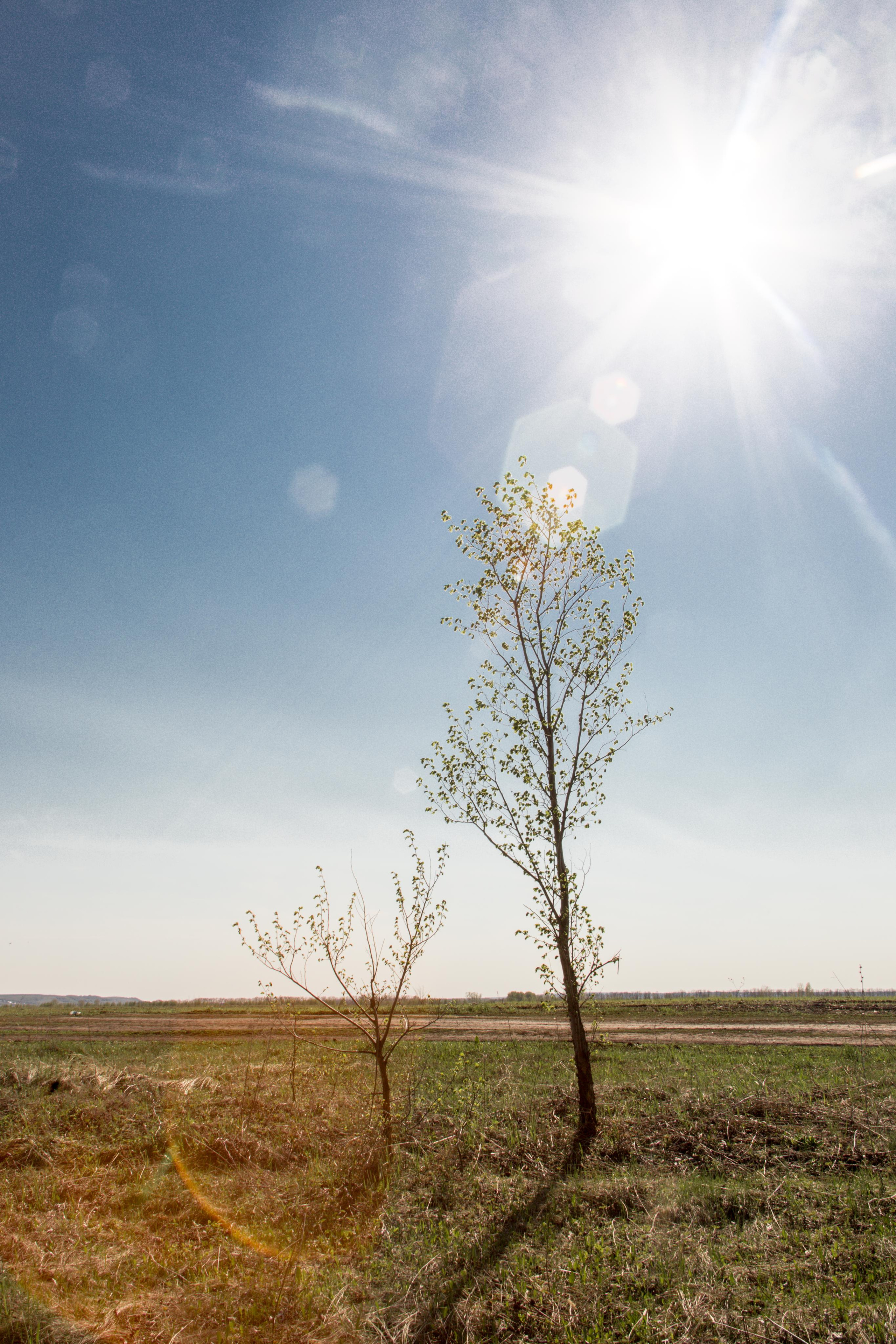 Виды Перми и окрестностей. Фотограф Никита Попов. Фотограф Пермь. Фотосессия в фотостудии Перми и на свежем воздухе