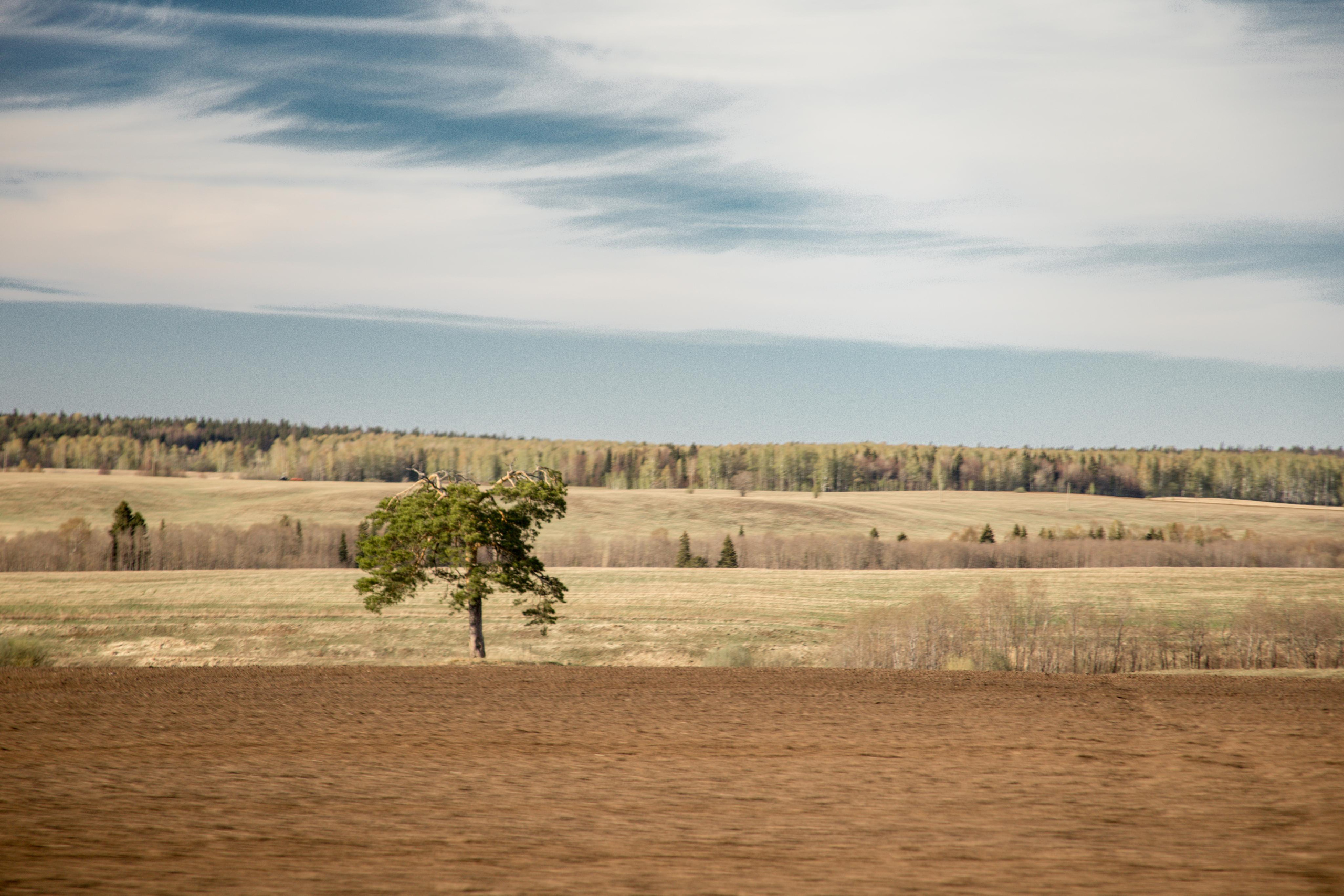 Виды Перми и окрестностей. Фотограф Никита Попов. Фотограф Пермь. Фотосессия в фотостудии Перми и на свежем воздухе