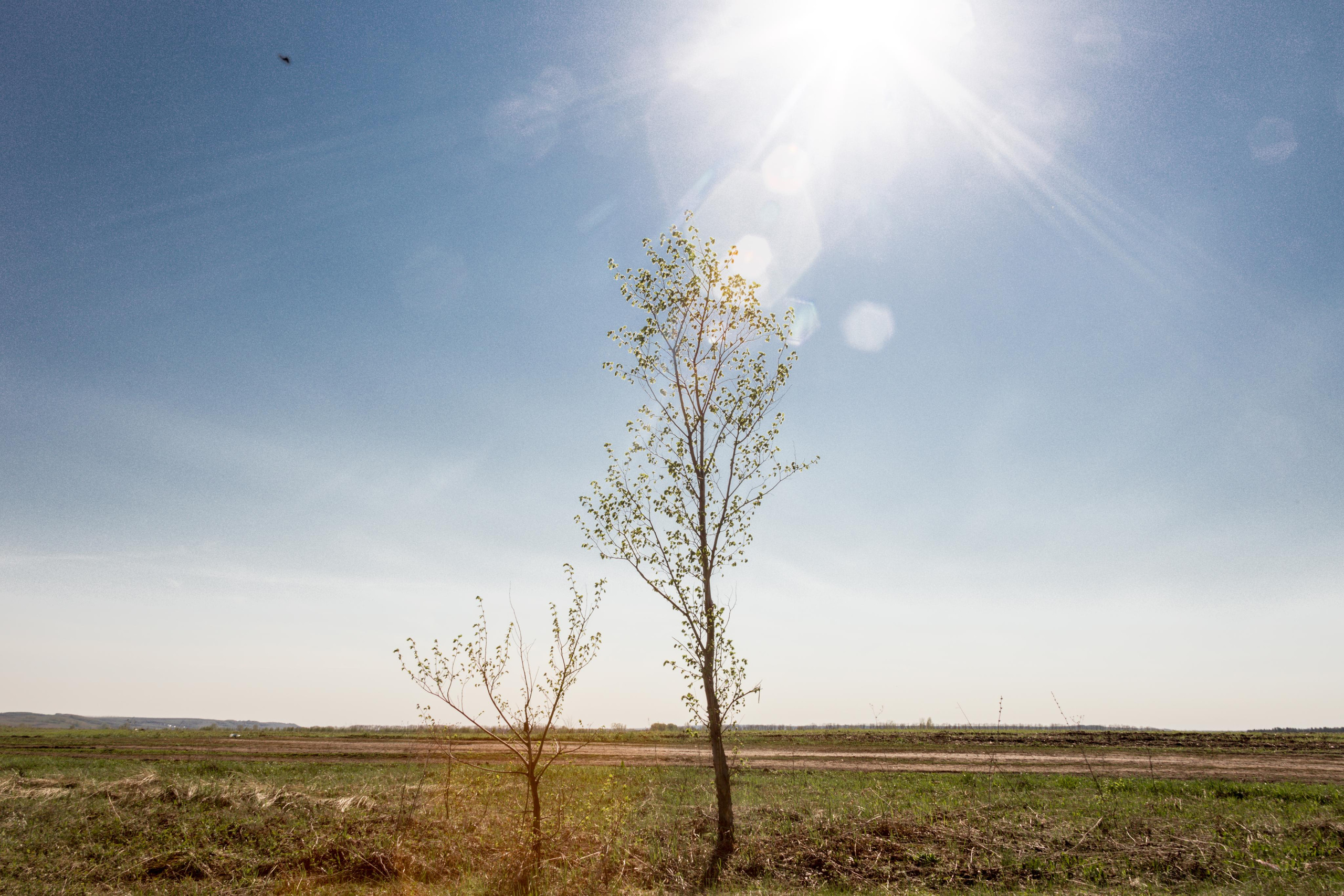 Виды Перми и окрестностей. Фотограф Никита Попов. Фотограф Пермь. Фотосессия в фотостудии Перми и на свежем воздухе