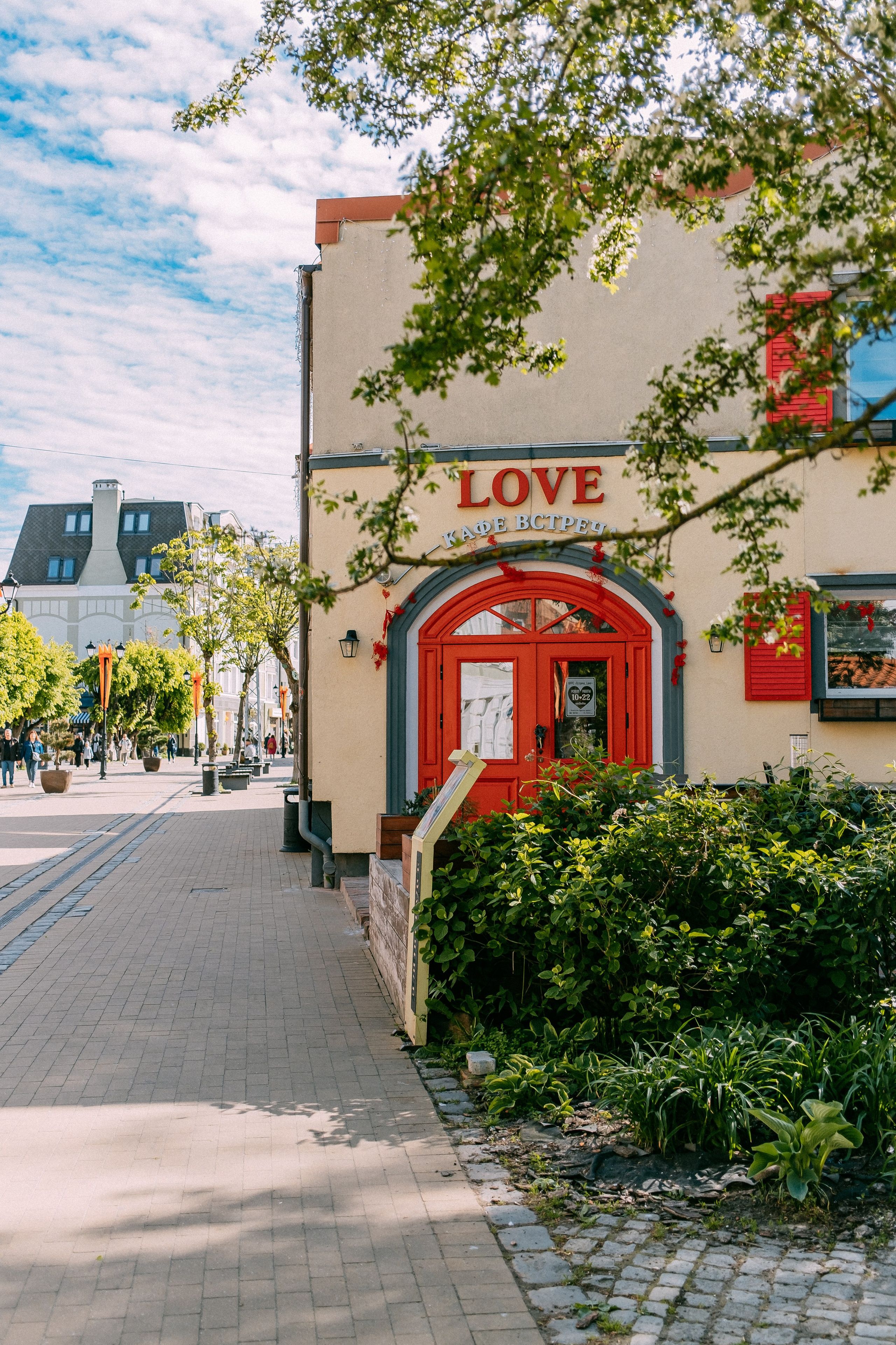 Зеленоградск. Аня Степанова