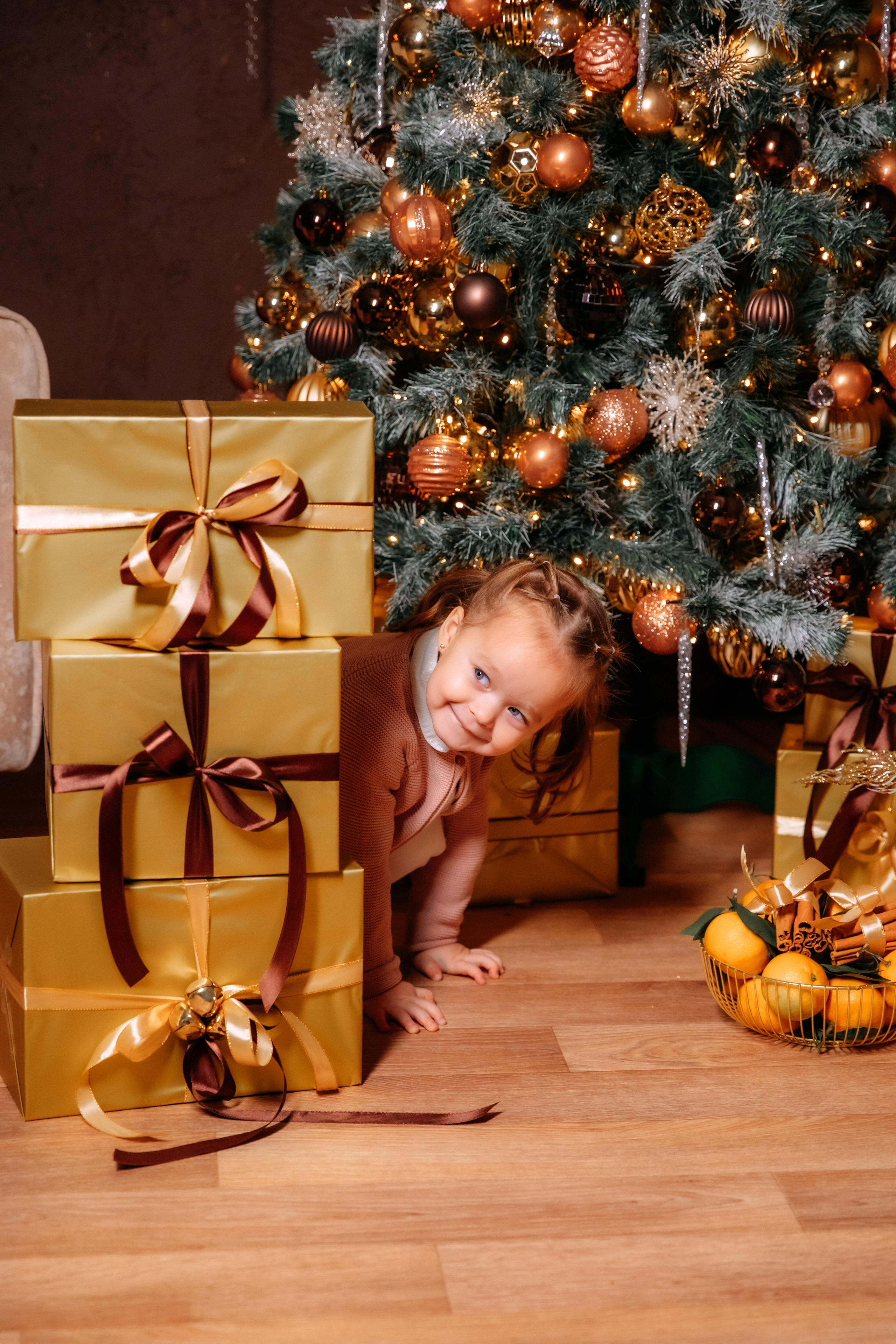 НОВЫЙ 2025 ГОД. Женский и семейный фотограф Елена Петрова