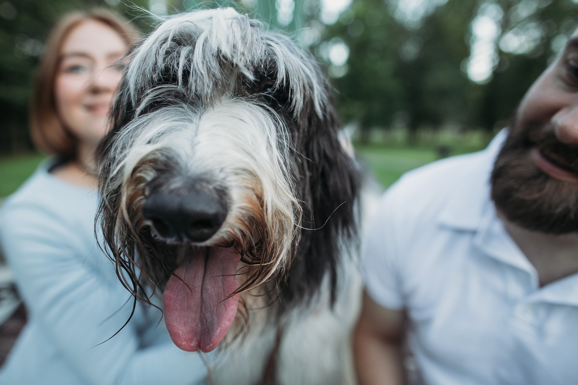 Фотосессия беременности. Свадебный фотограф в Москве Аля Загирова