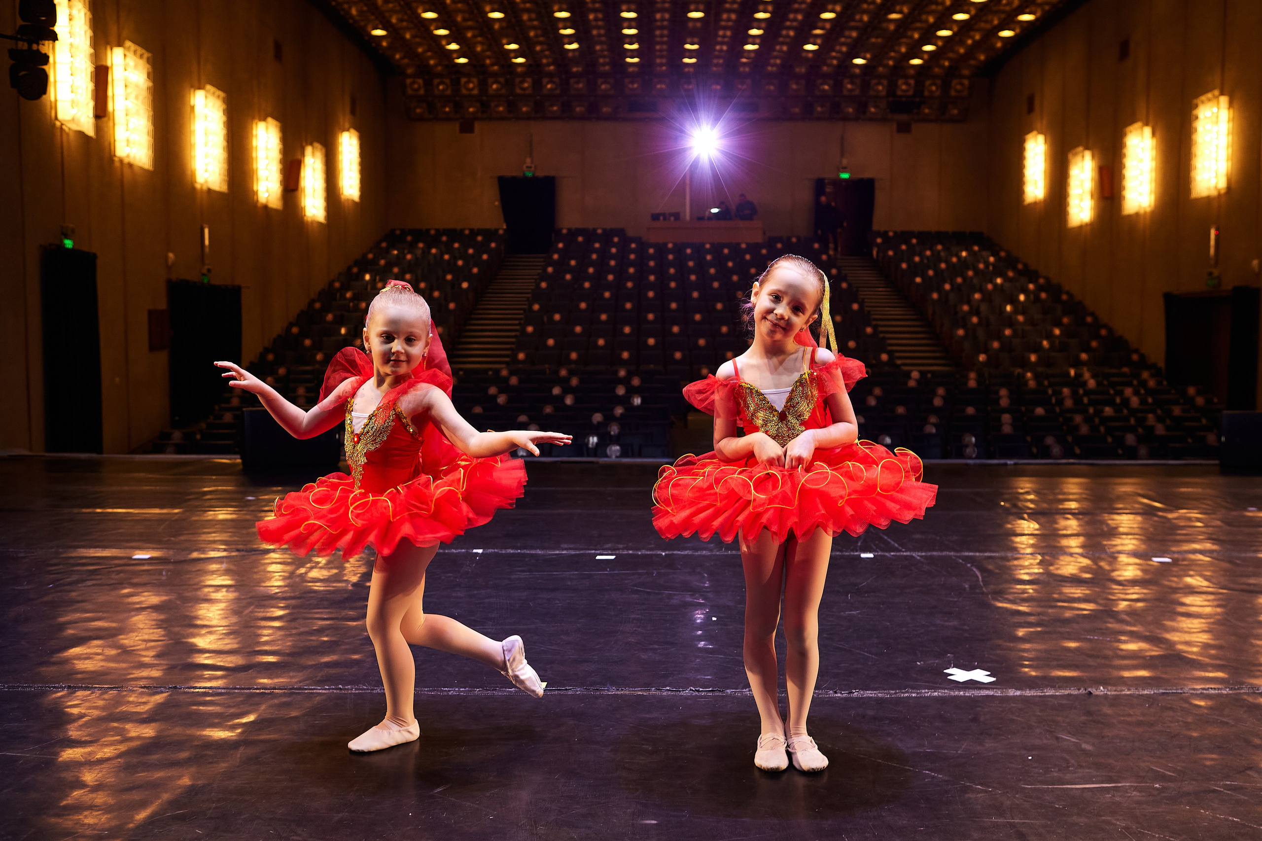 Концерты. Виолетта Скрипка