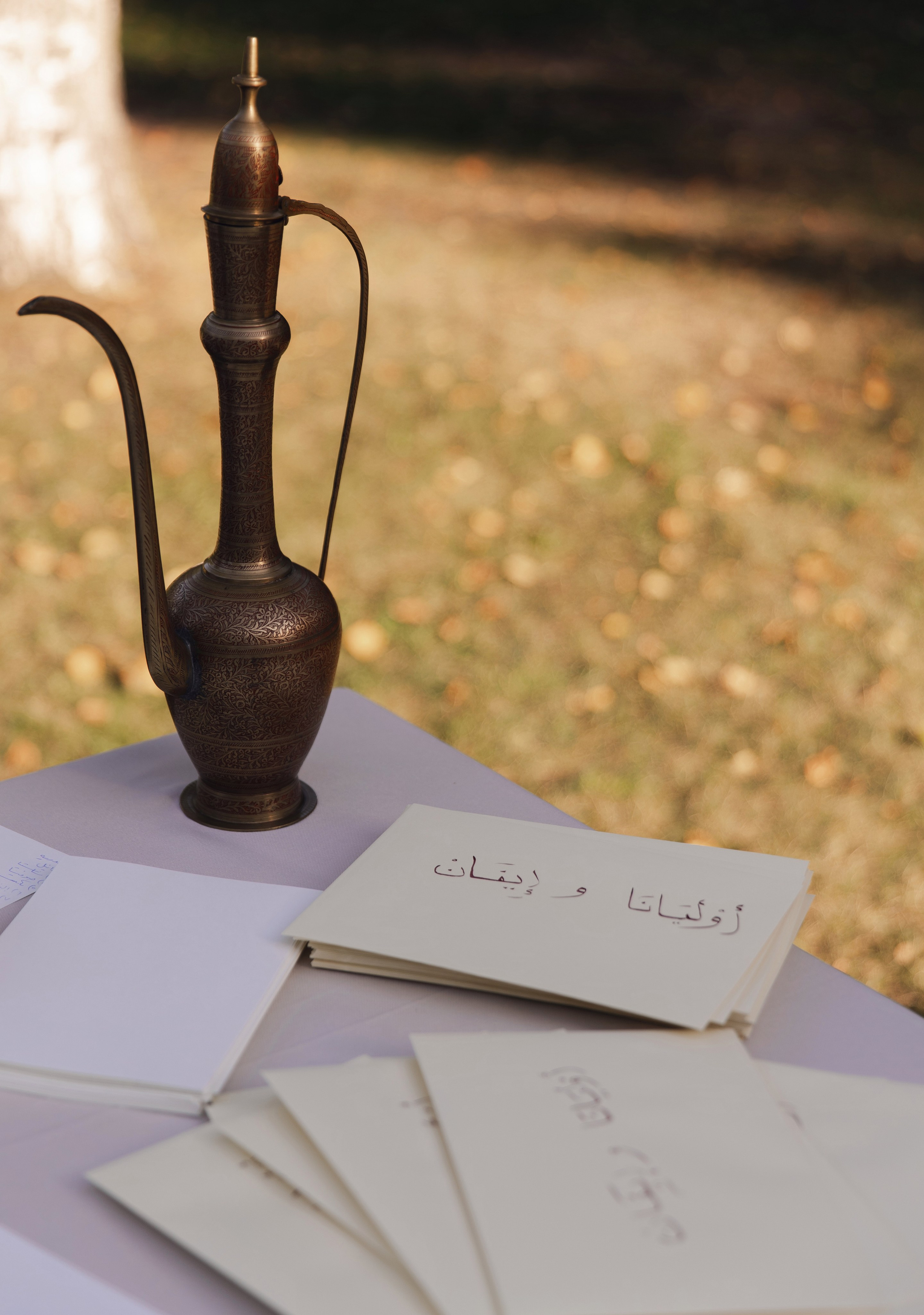 В ЛУЧАХ ЗАКАТА НА БЕРЕГУ МОРСКОМ