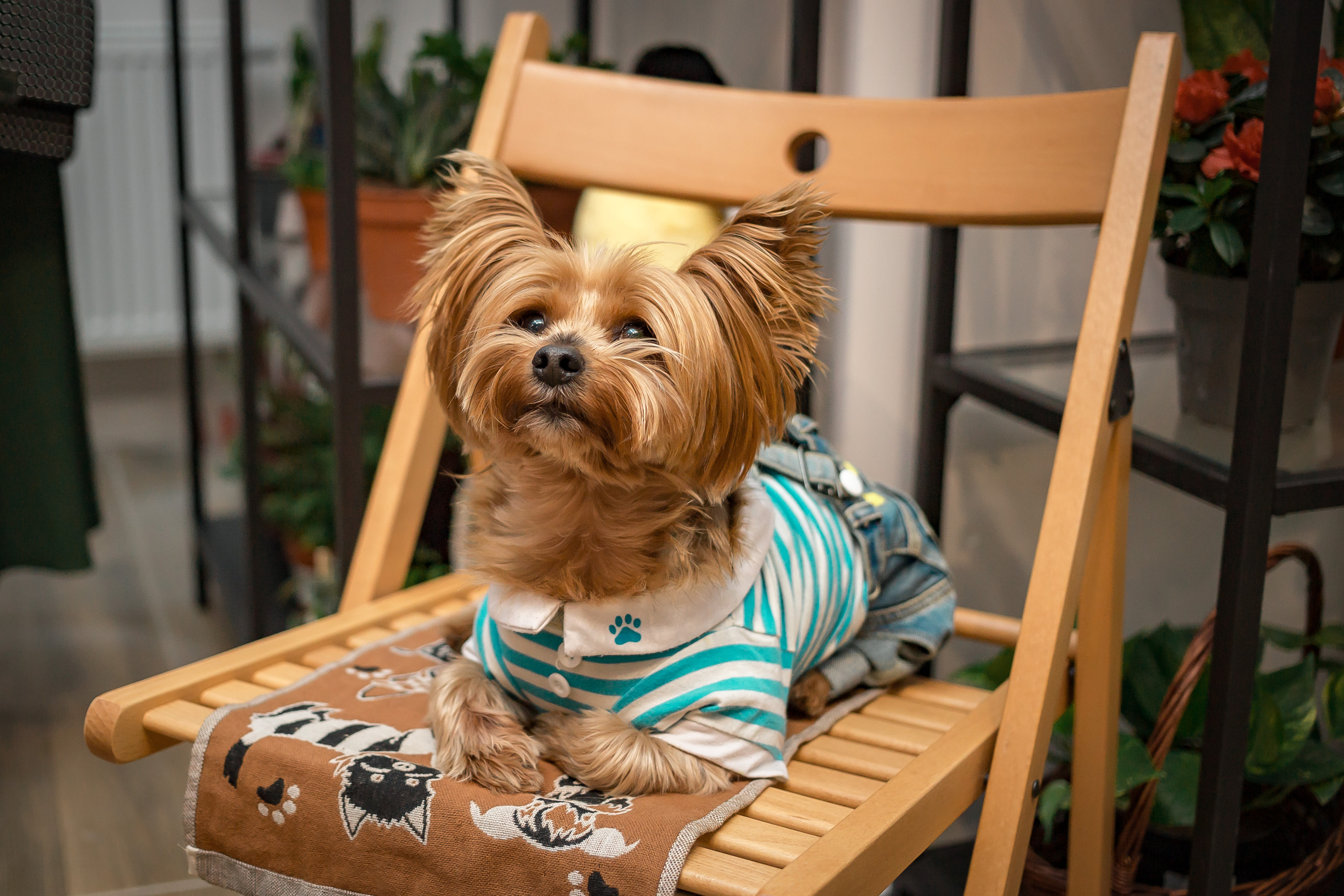 Открытие арт-мастерской «Время цветов». Фотографиня Мария Дикова