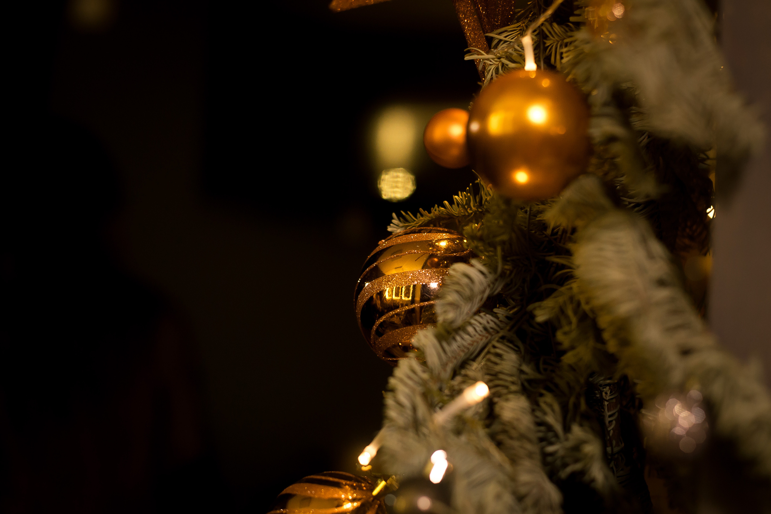 День рождения Маши. Фотографиня Мария Дикова