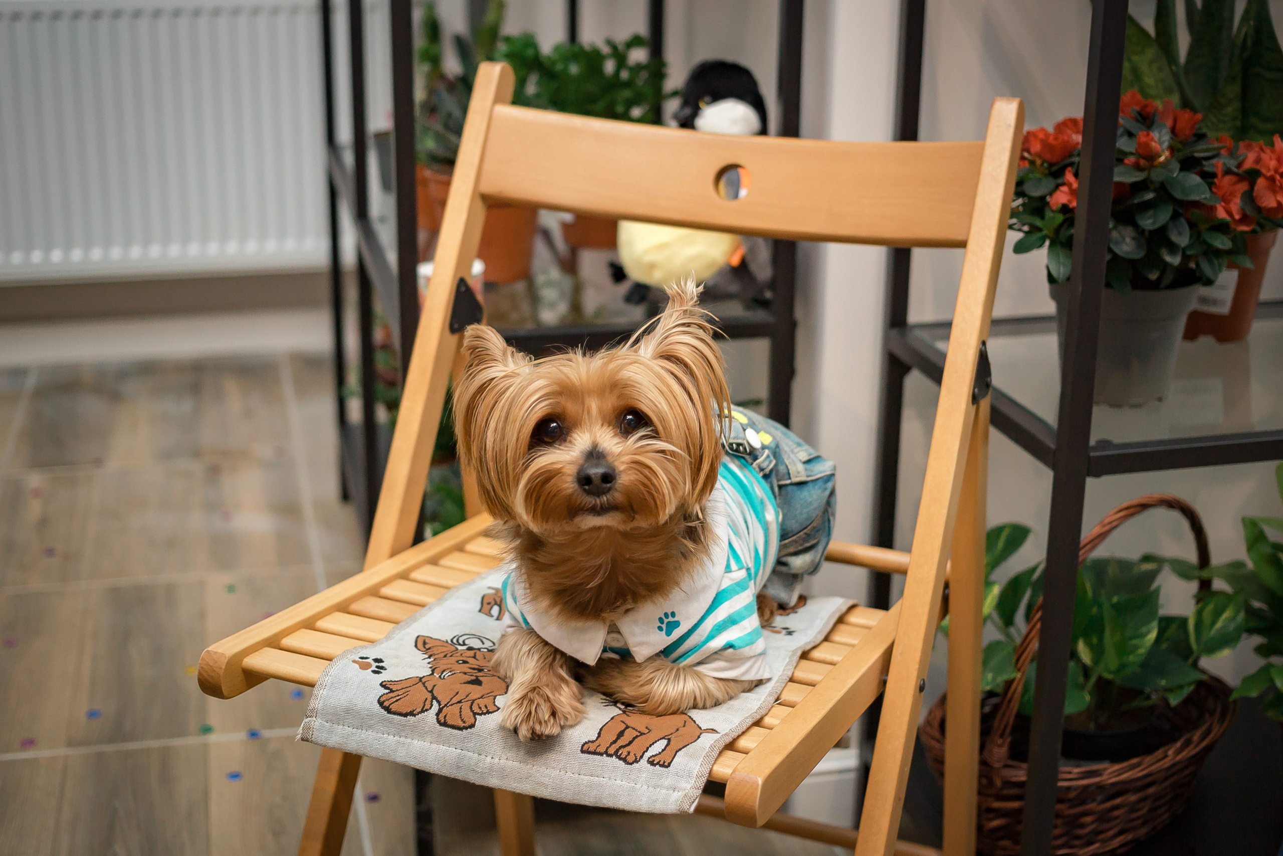 Открытие арт-мастерской «Время цветов». Фотографиня Мария Дикова