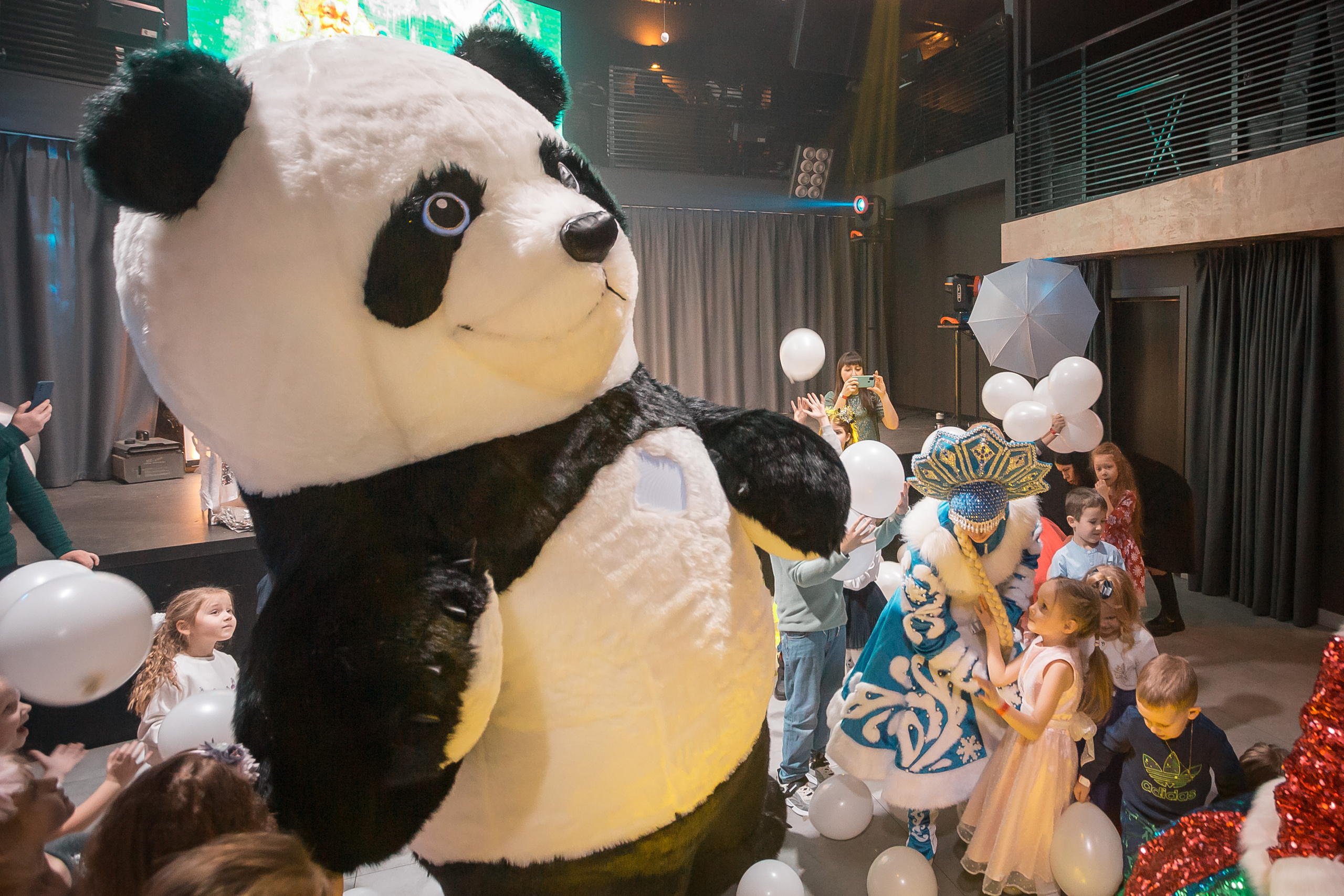 Новогодняя сказка на Ранчо. Фотографиня Мария Дикова