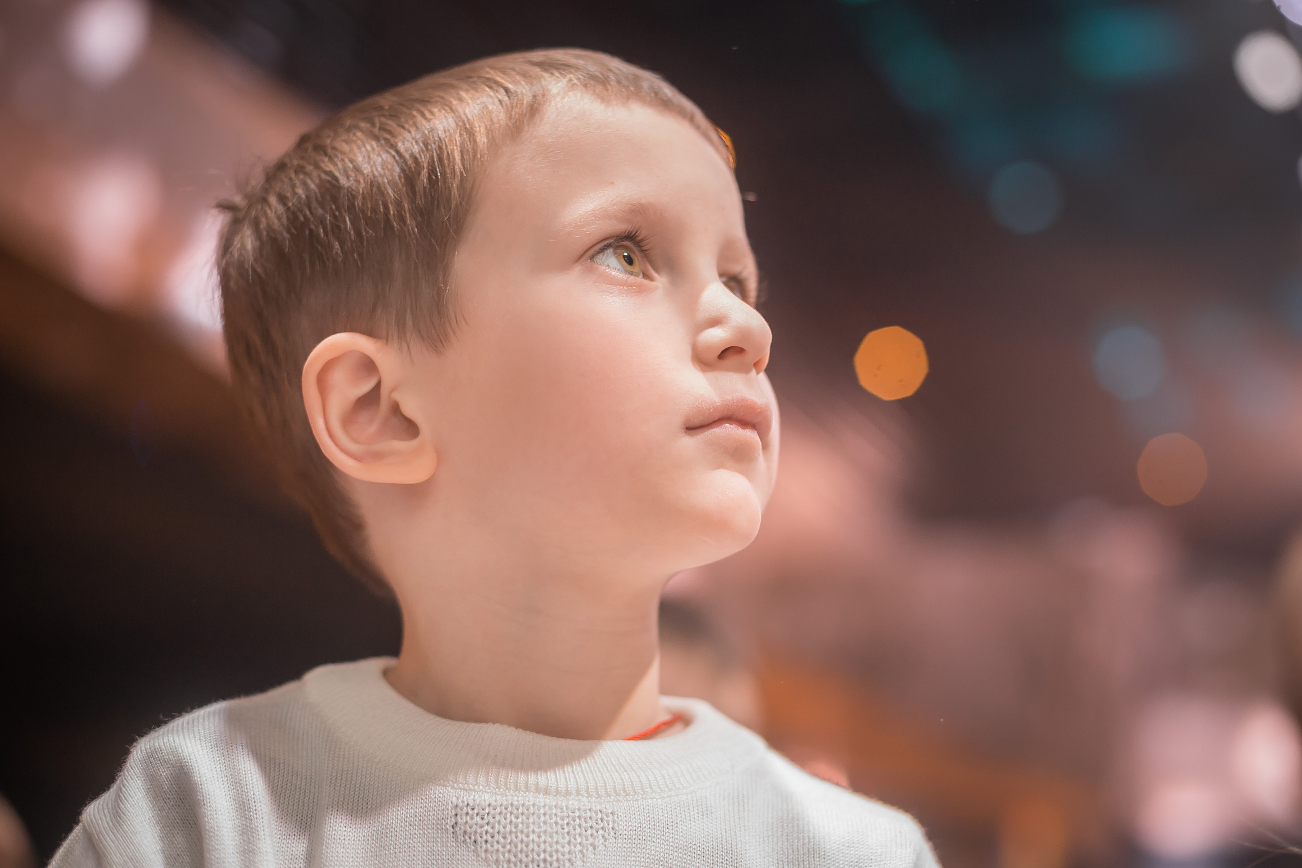 Новогодняя сказка на Ранчо. Фотографиня Мария Дикова