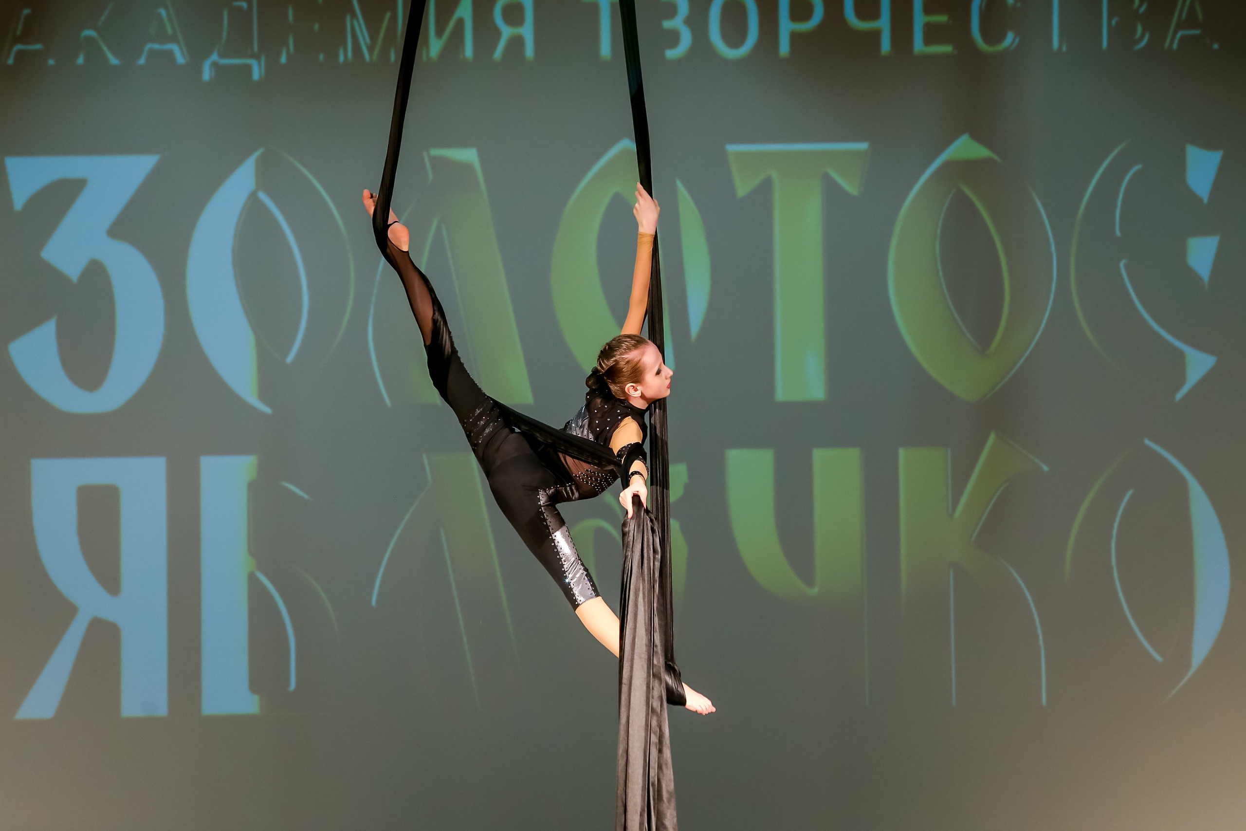 2 марта, г. Владимир. Золотое яблочко