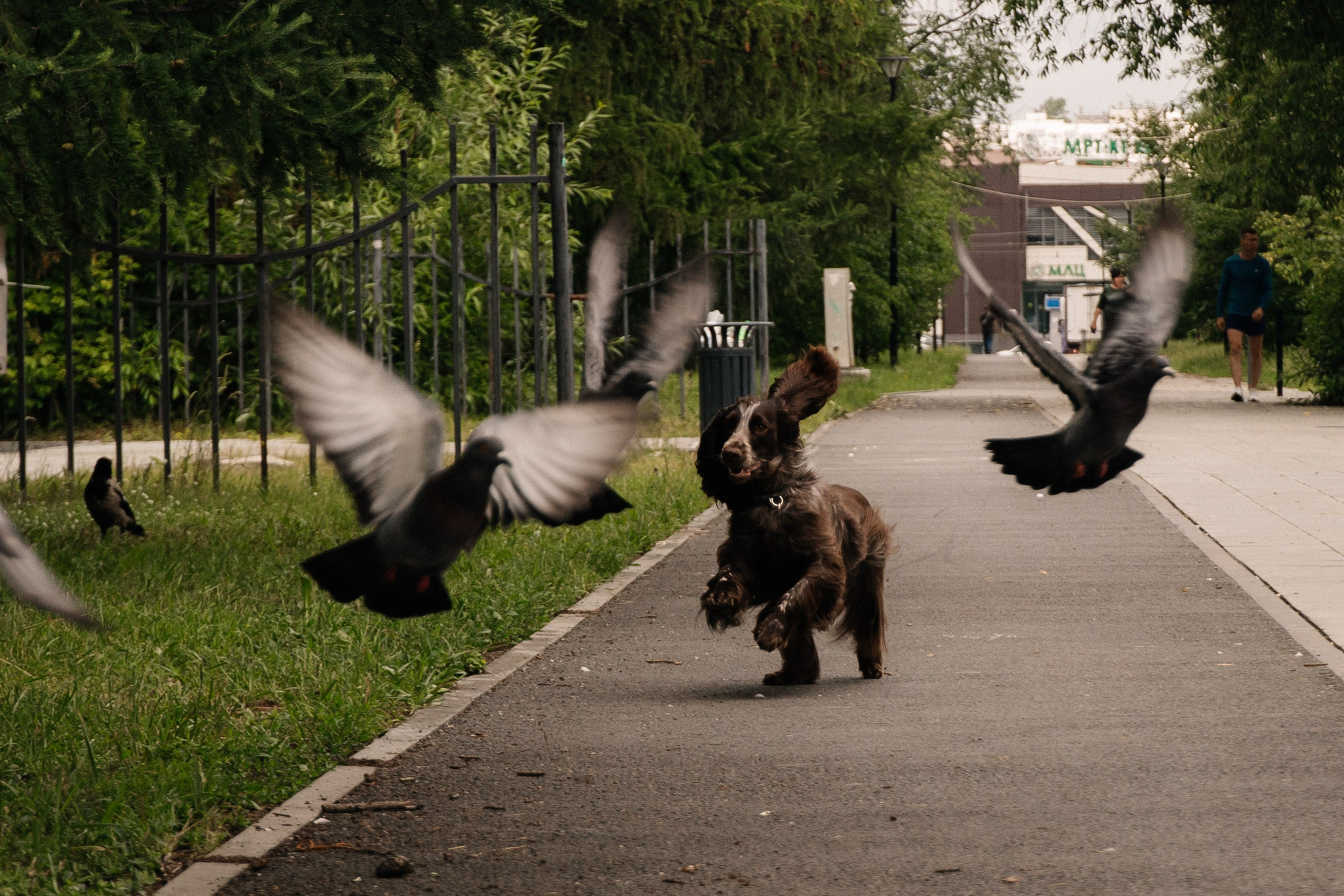 Марина и Тея. Фотограф Елена Балакина (Челябинск)