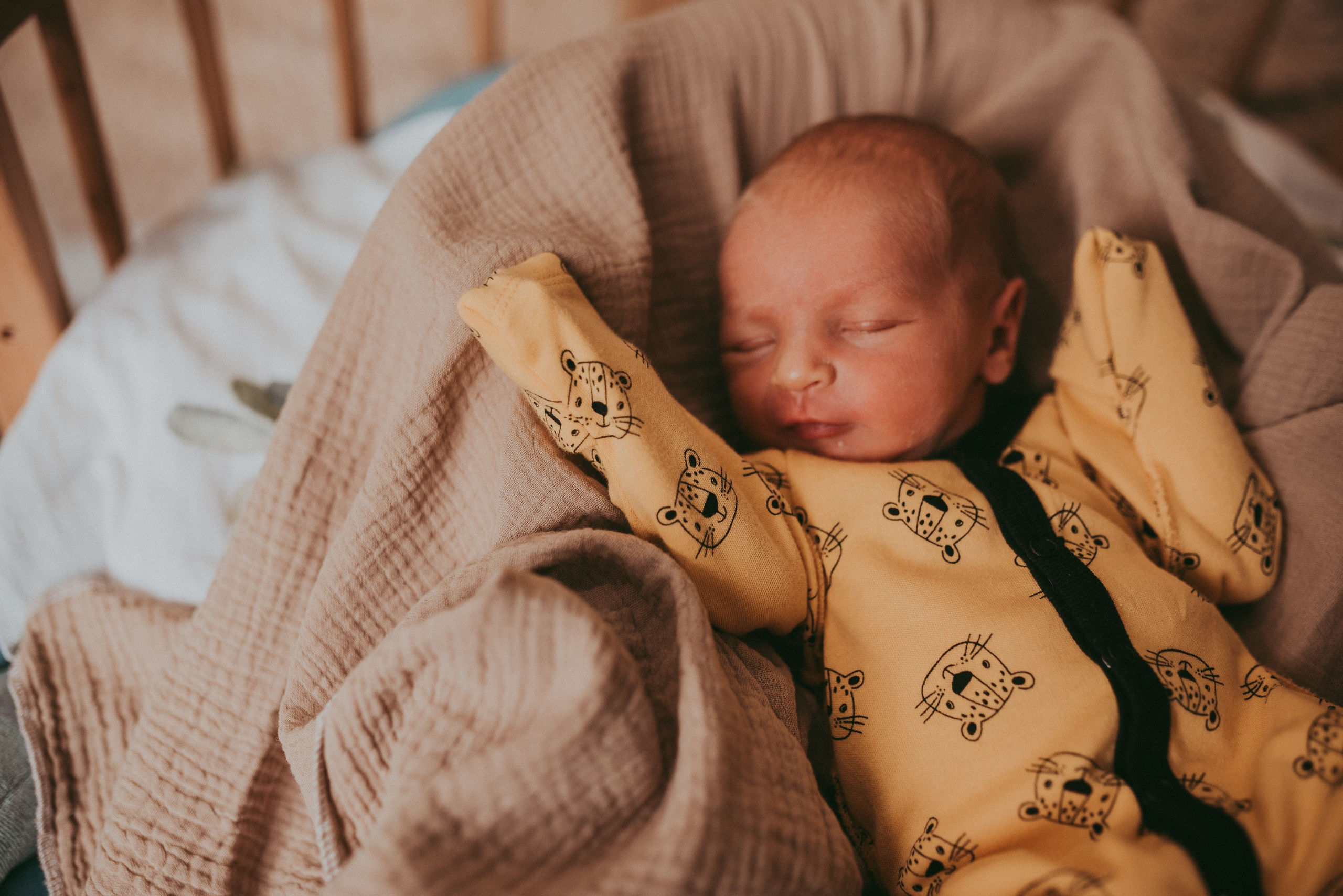 Маленький космос. Семейный и детский фотограф в Новосибирске и Краснообске — Анна Ким