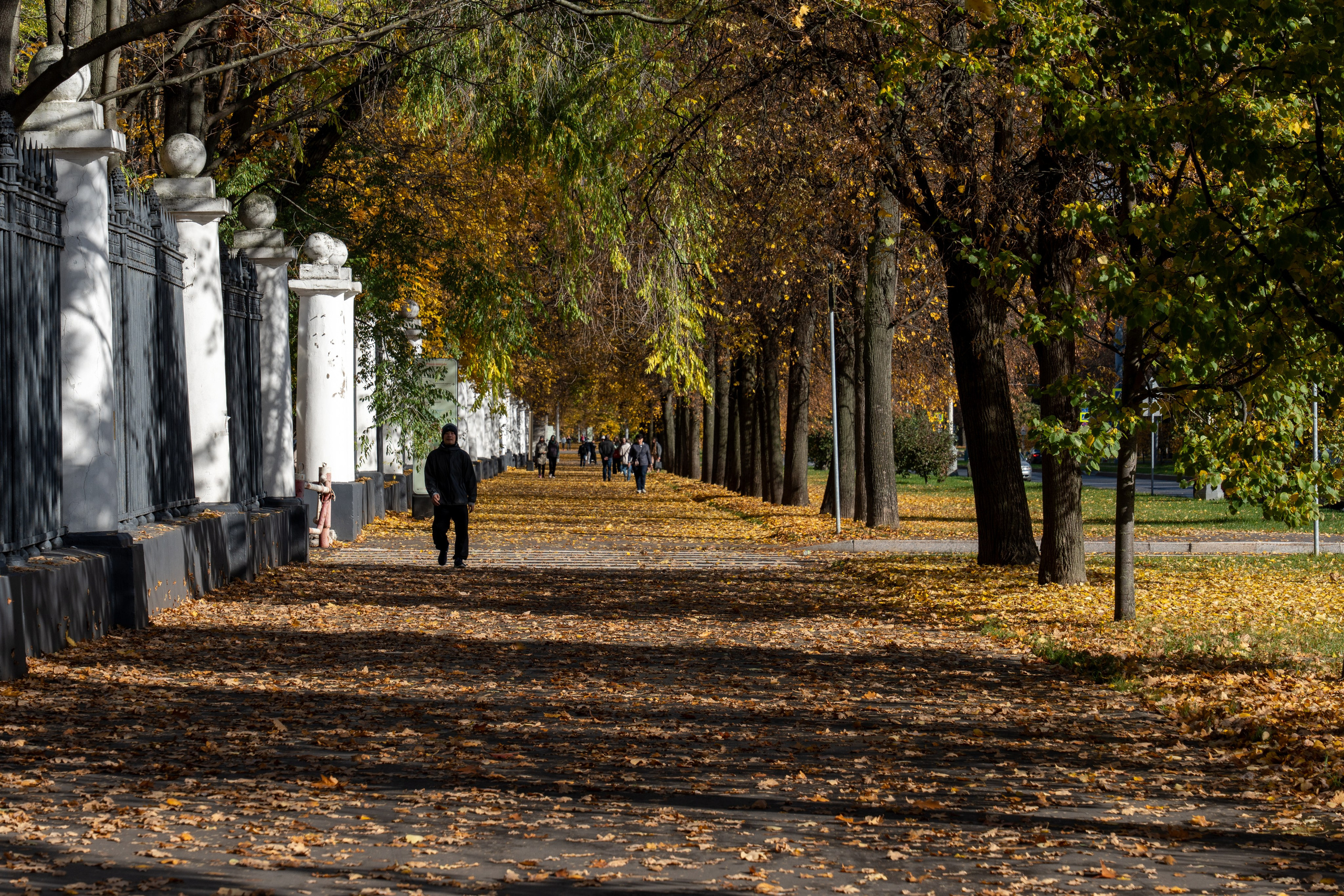 20251012 МГУ. Дмитрий Ремизов. Фотография, как хобби